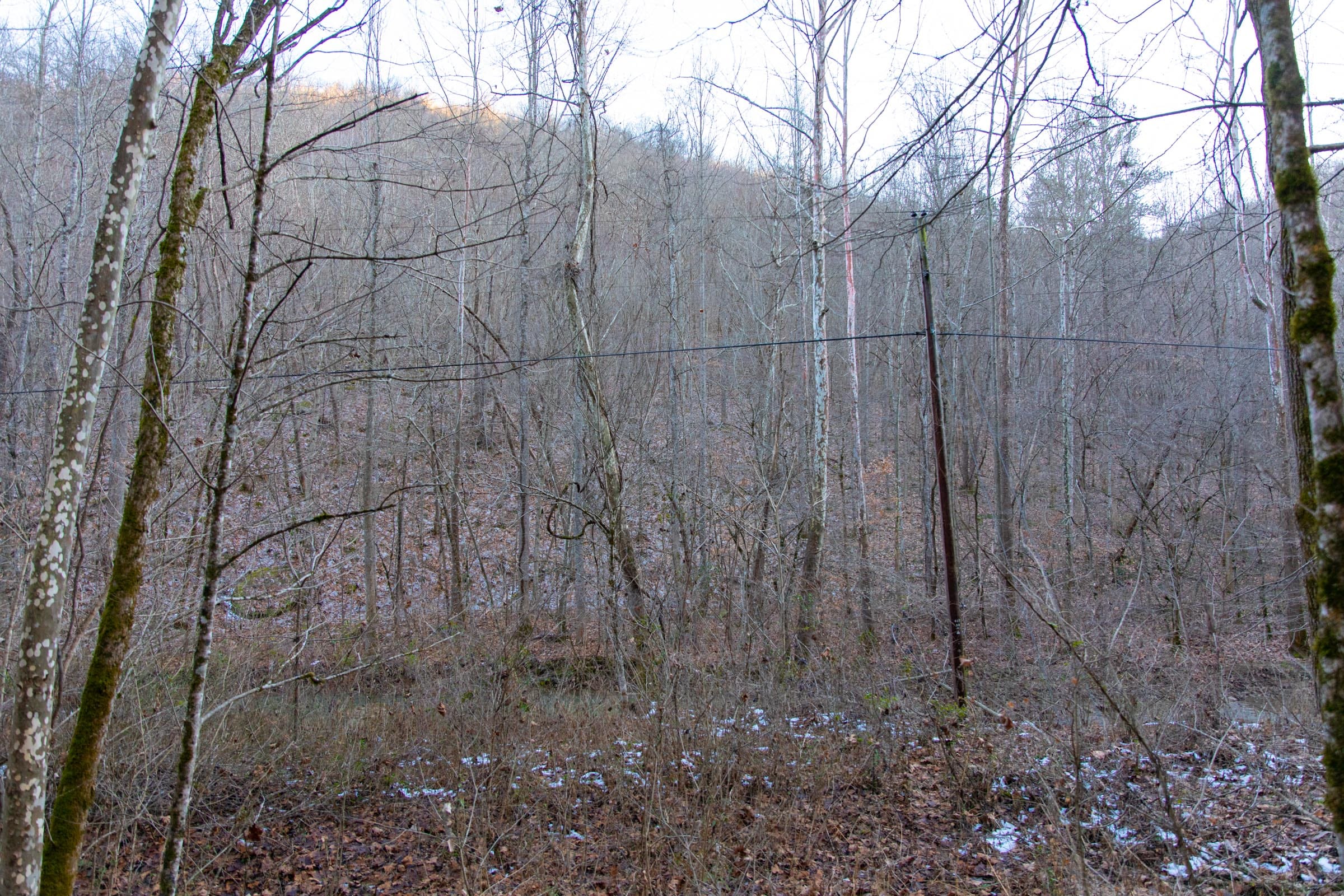 Blackstone Mountain Phase I Tract 5 photo 14