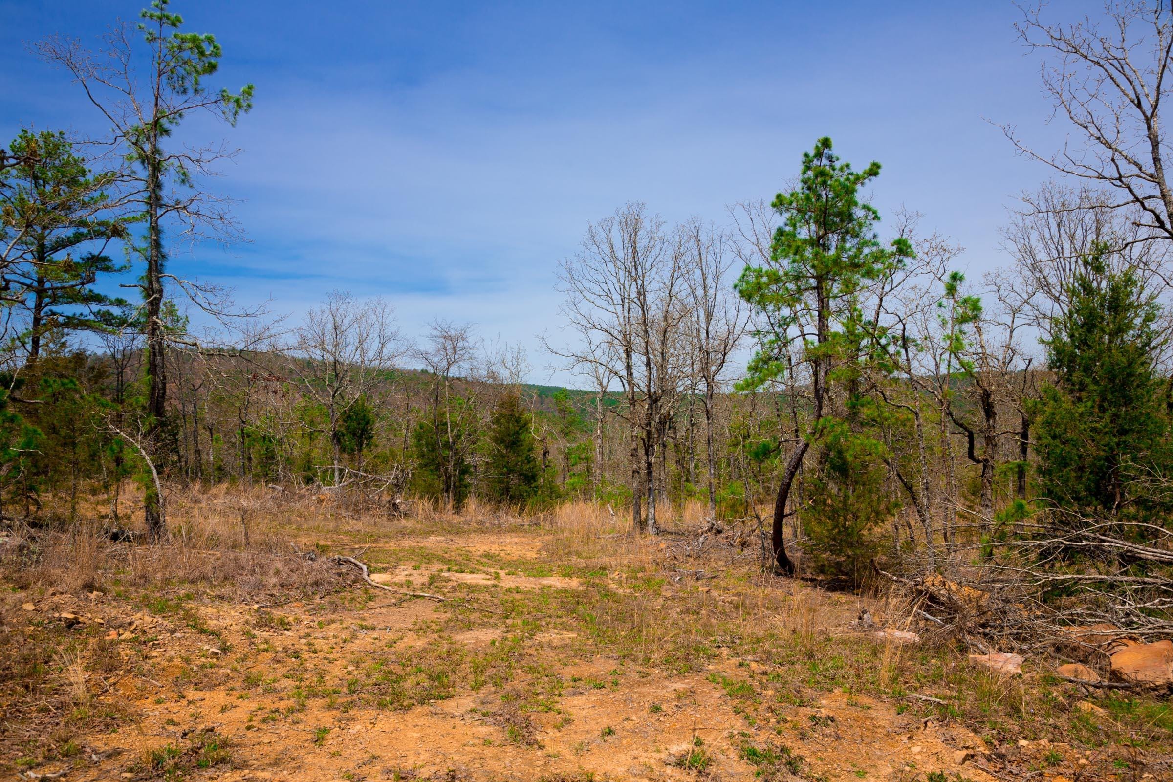 Stone Creek Phase II Tract 195 photo 6