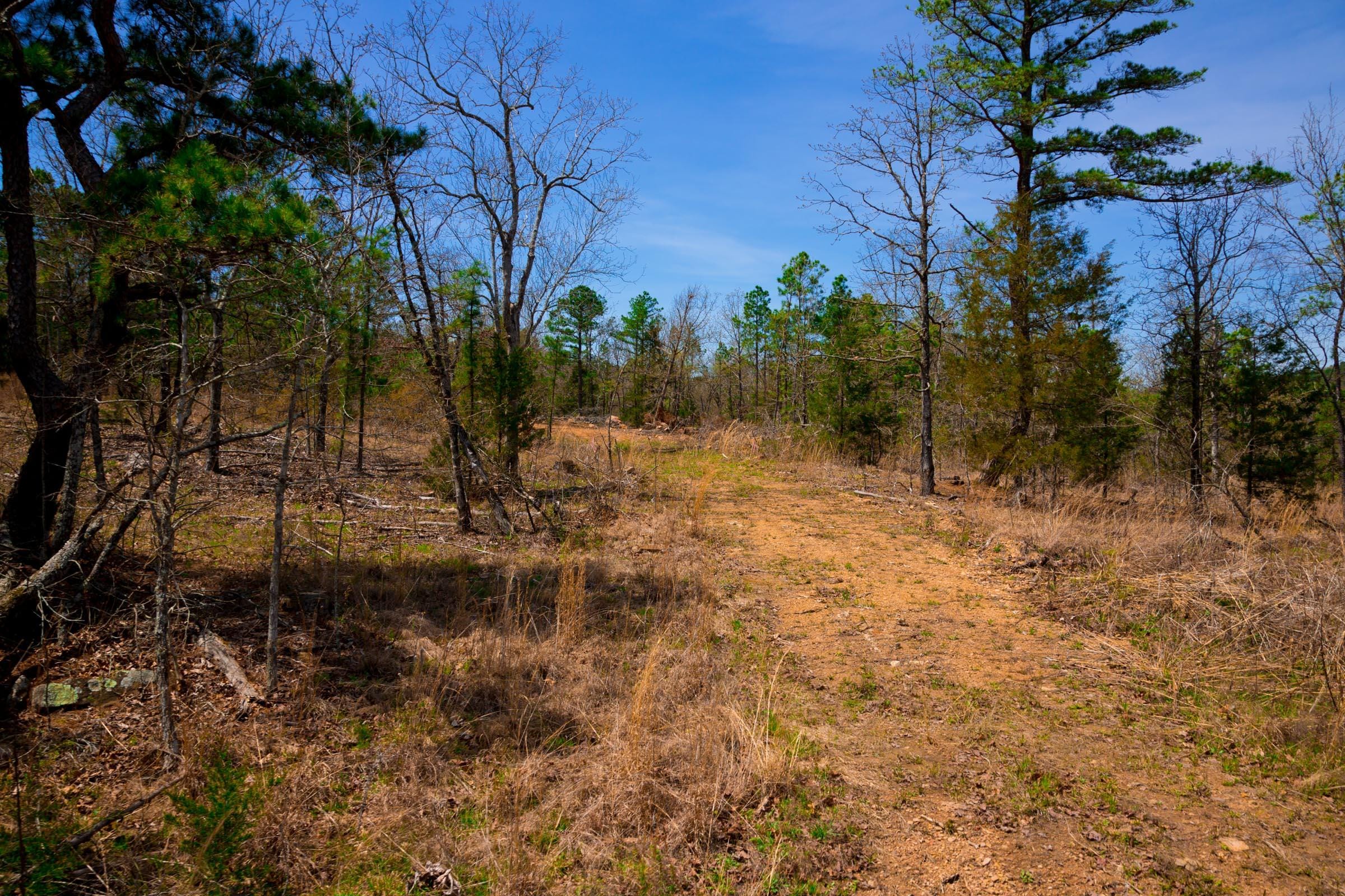 Stone Creek Phase II Tract 195 photo 7