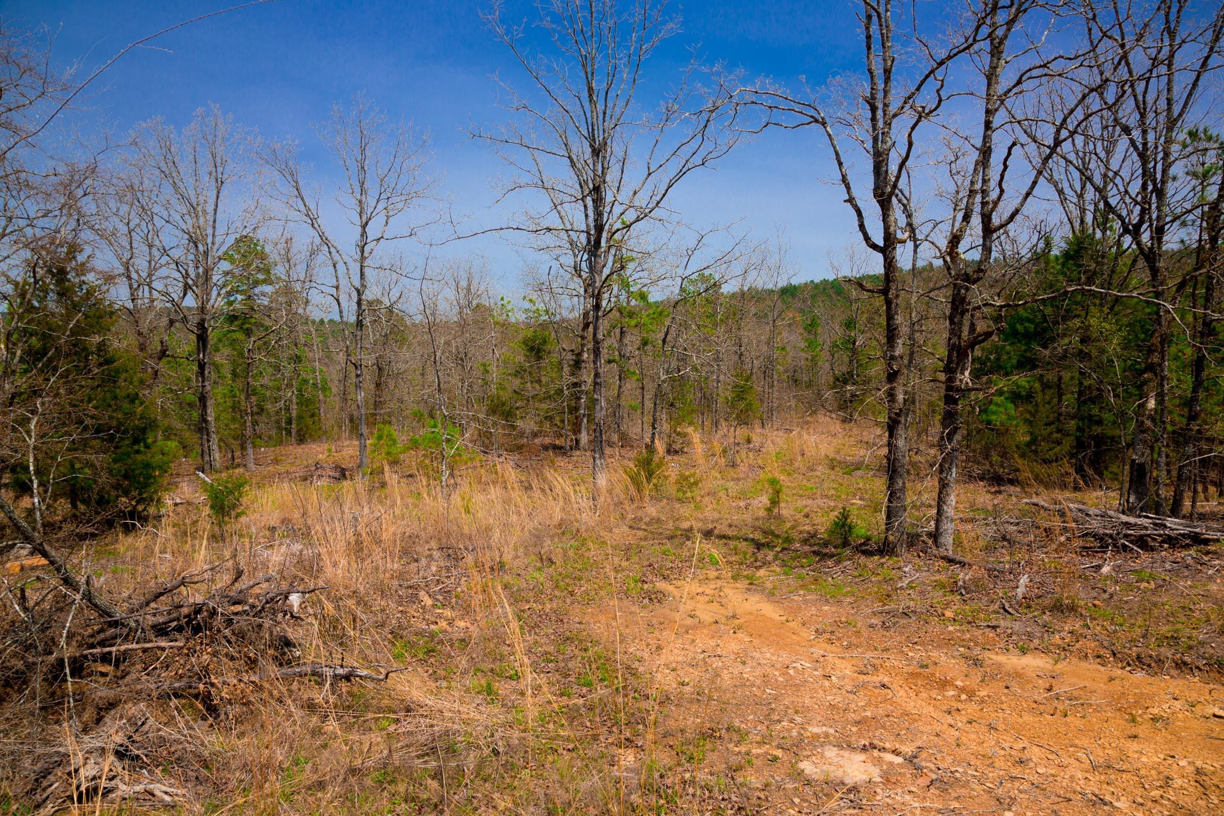 Stone Creek Phase II Tract 195 photo 8