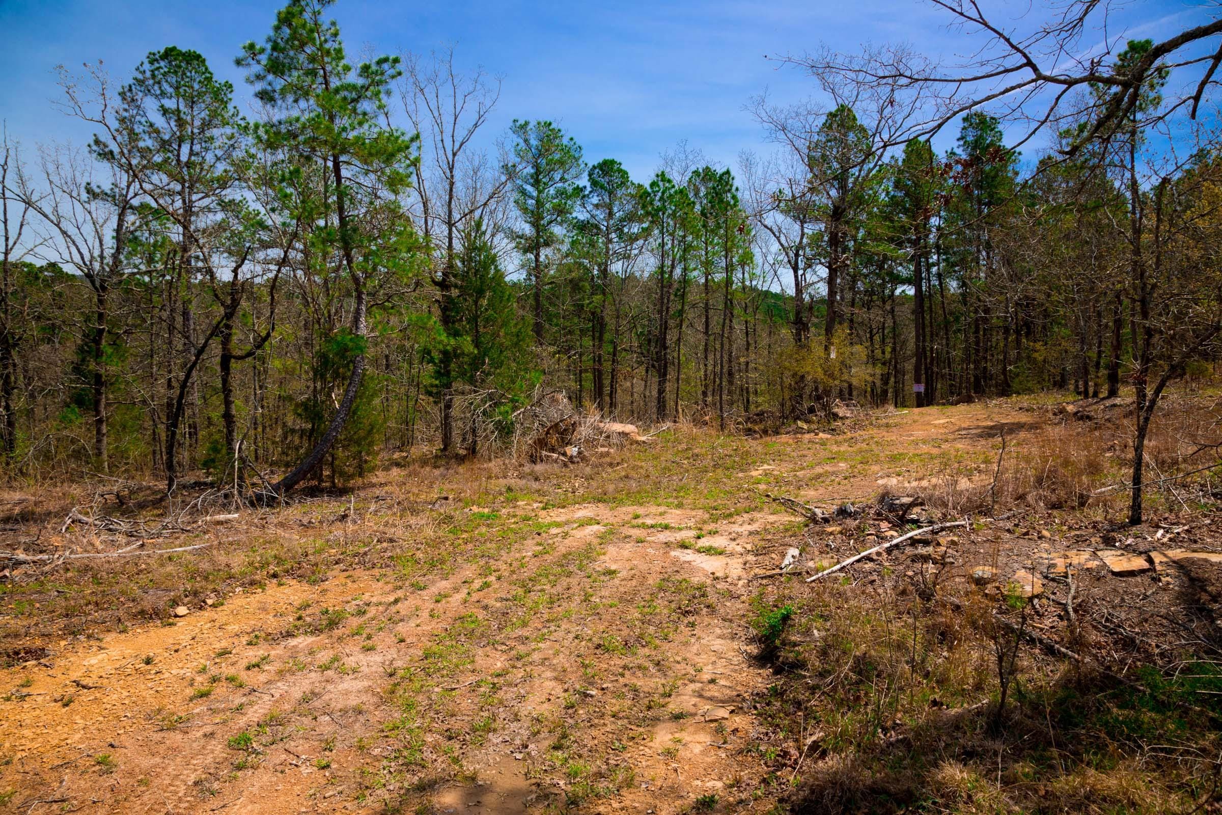 Stone Creek Phase II Tract 195 photo 9