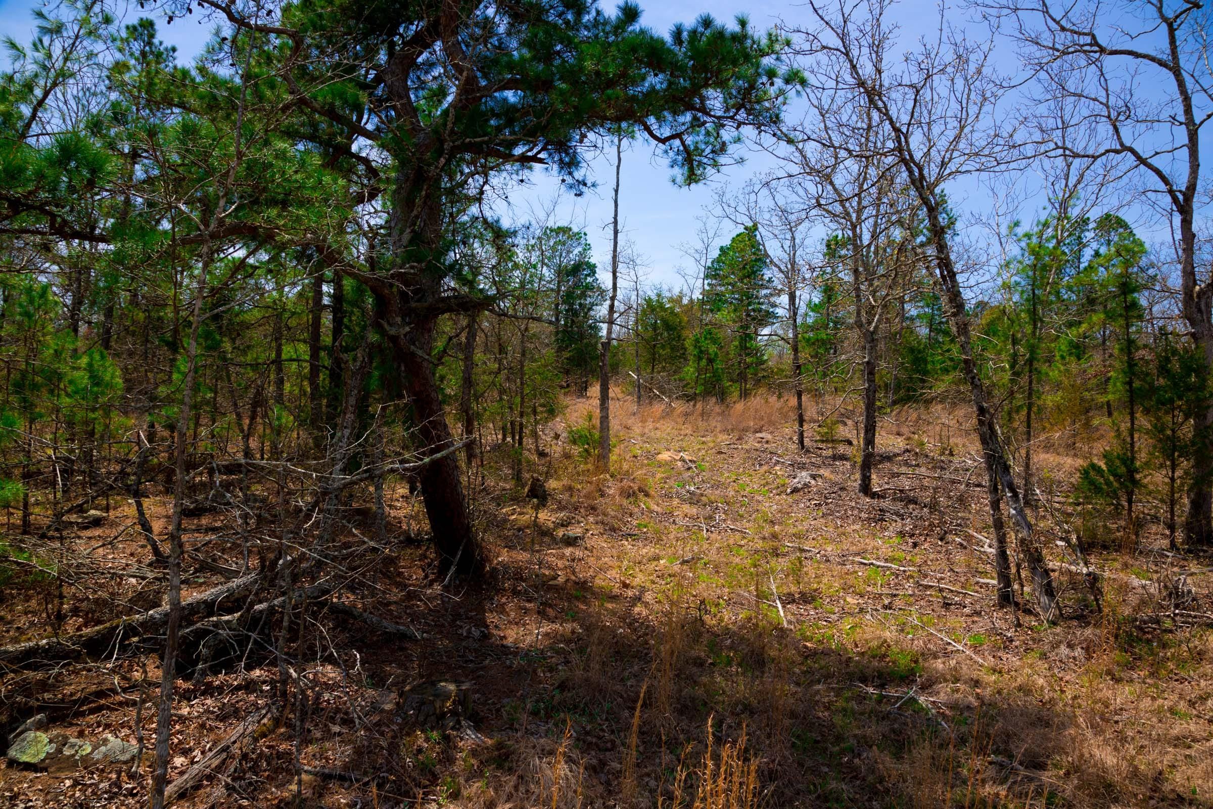 Stone Creek Phase II Tract 195 photo 10
