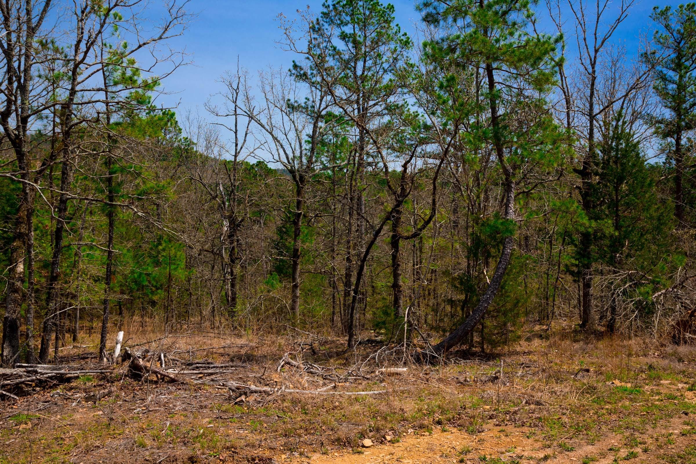 Stone Creek Phase II Tract 195 photo 11
