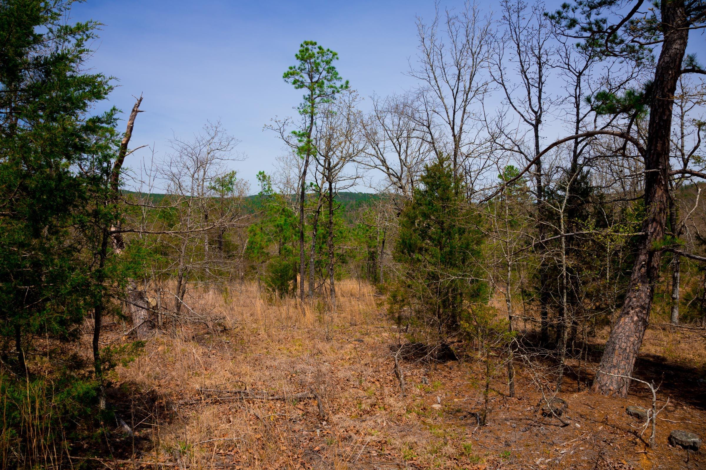 Stone Creek Phase II Tract 195 photo 12