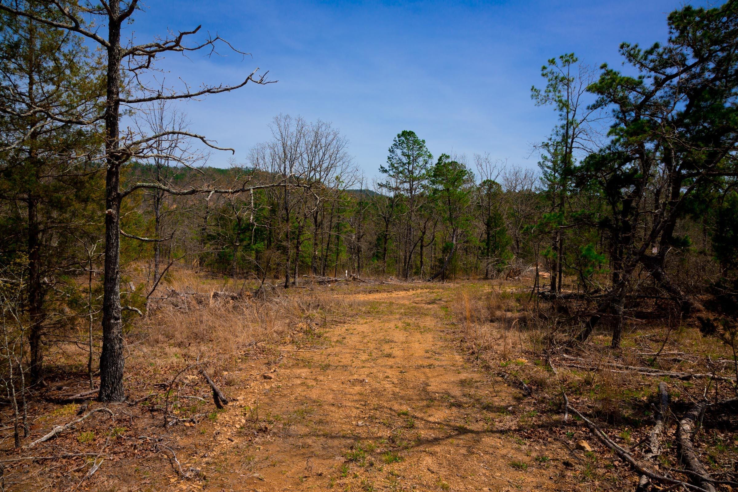 Stone Creek Phase II Tract 195 photo 13
