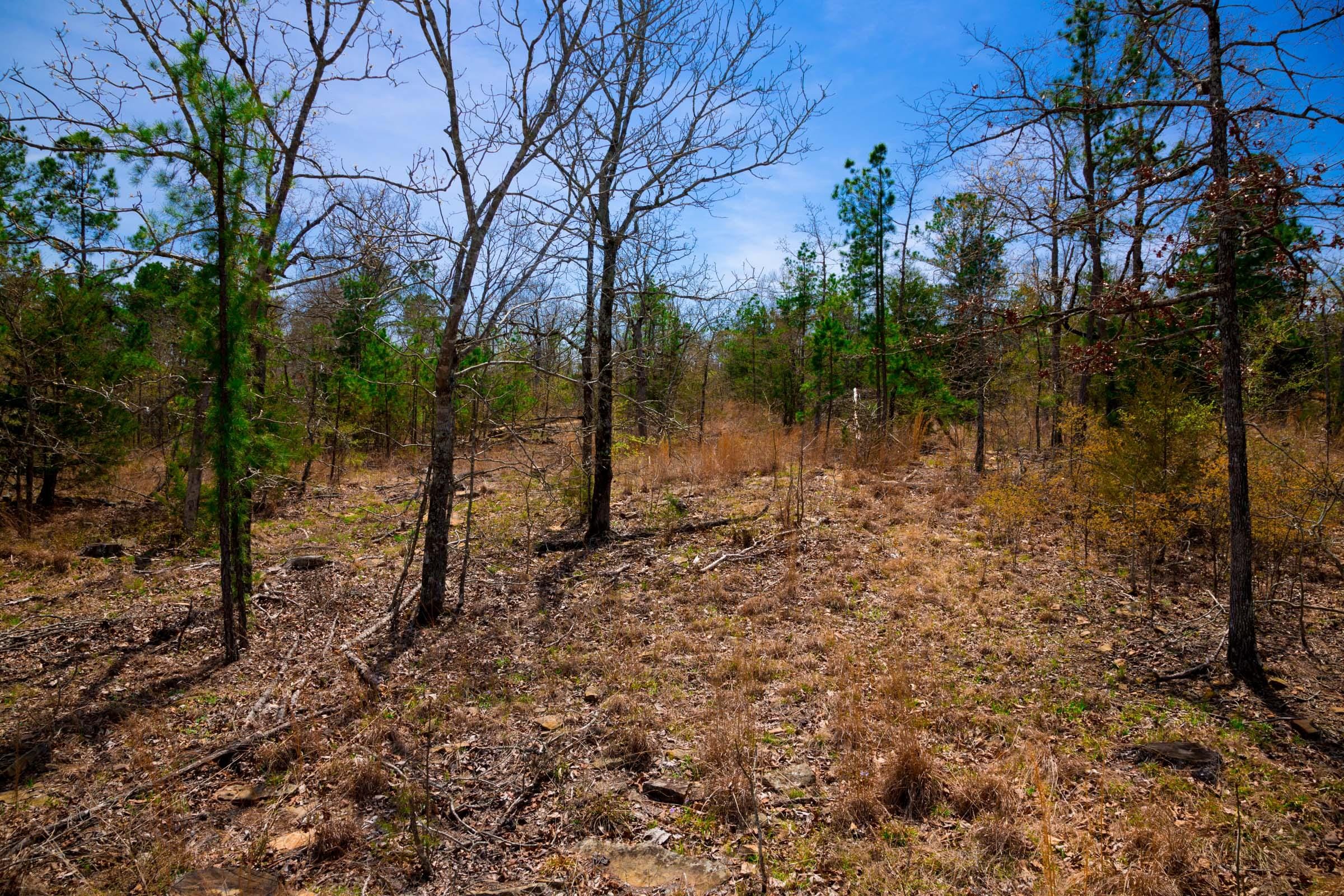 Stone Creek Phase II Tract 195 photo 14