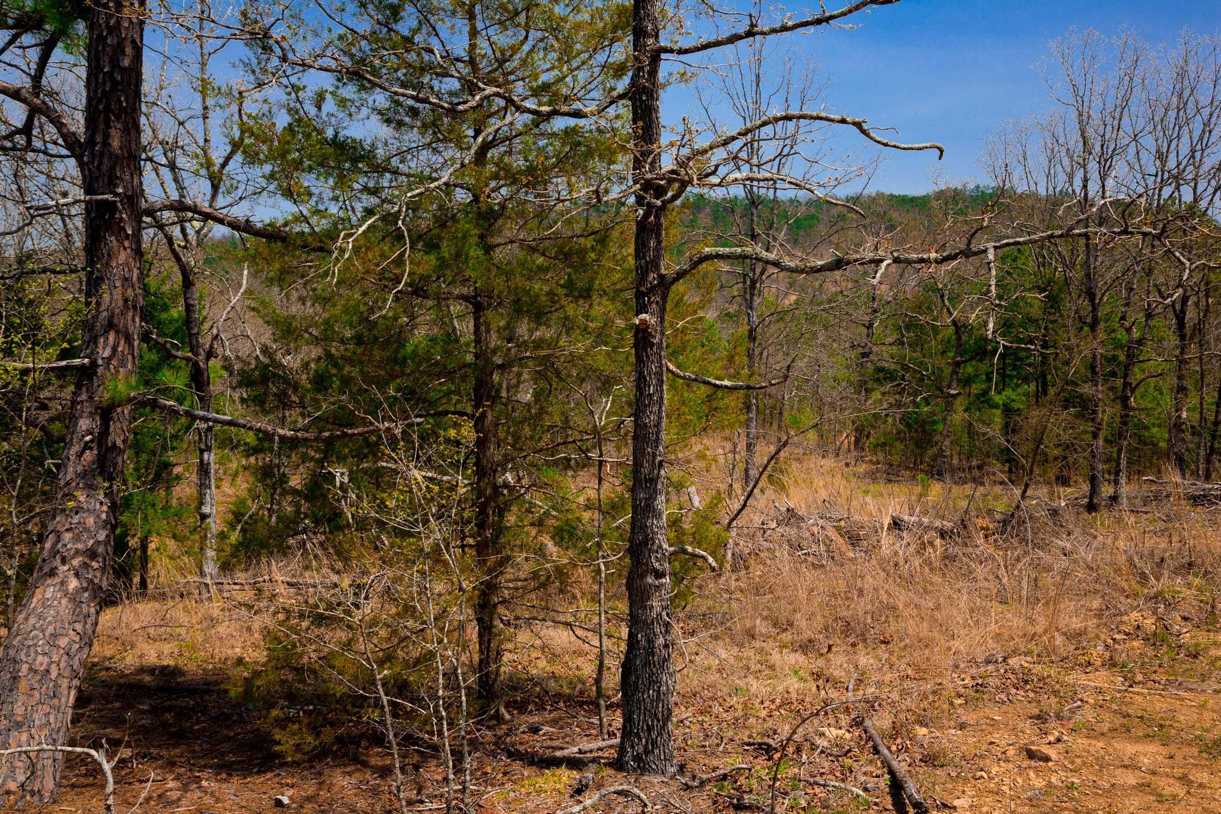 Stone Creek Phase II Tract 195 photo 15