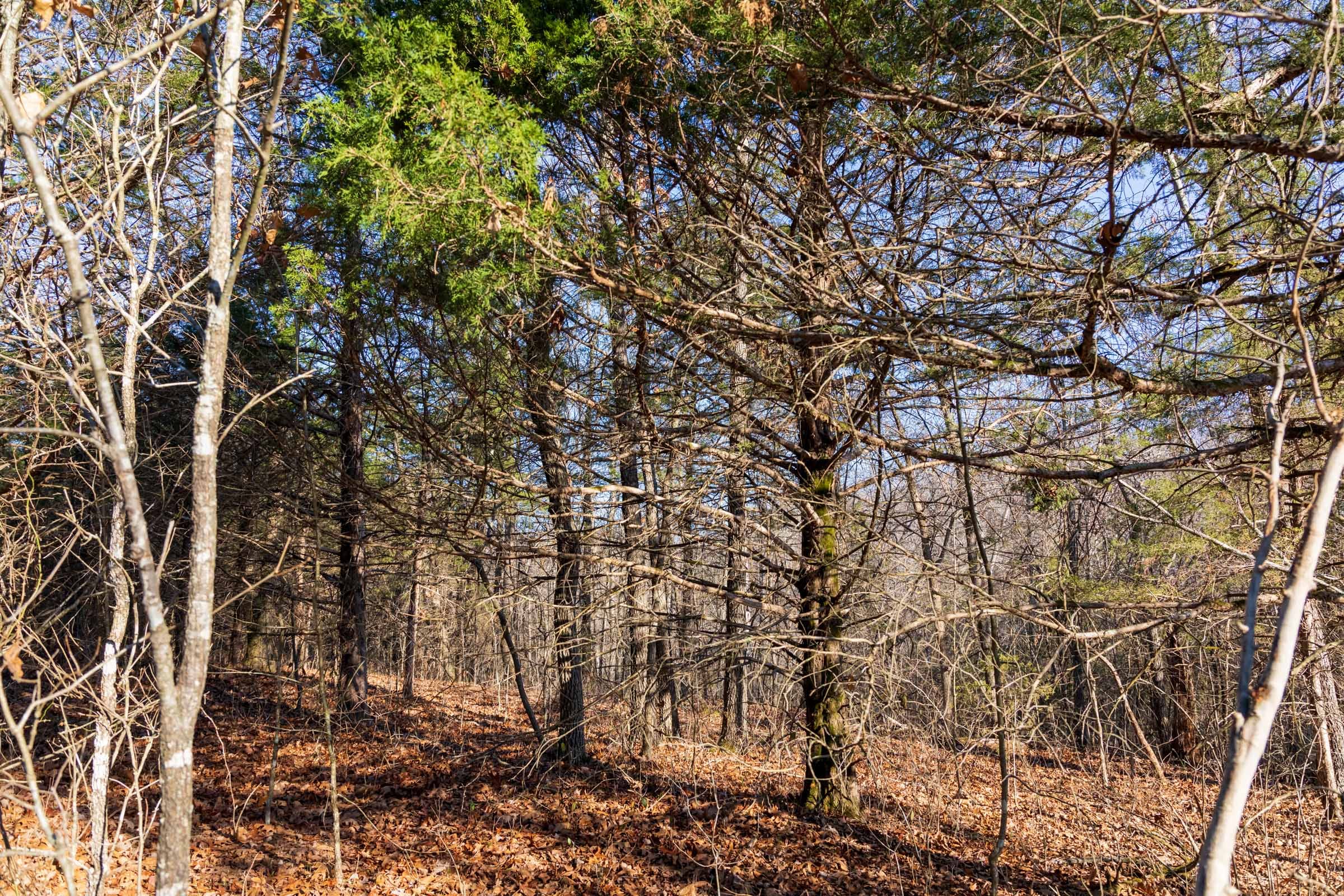 Crossroads Tract 16 photo 2