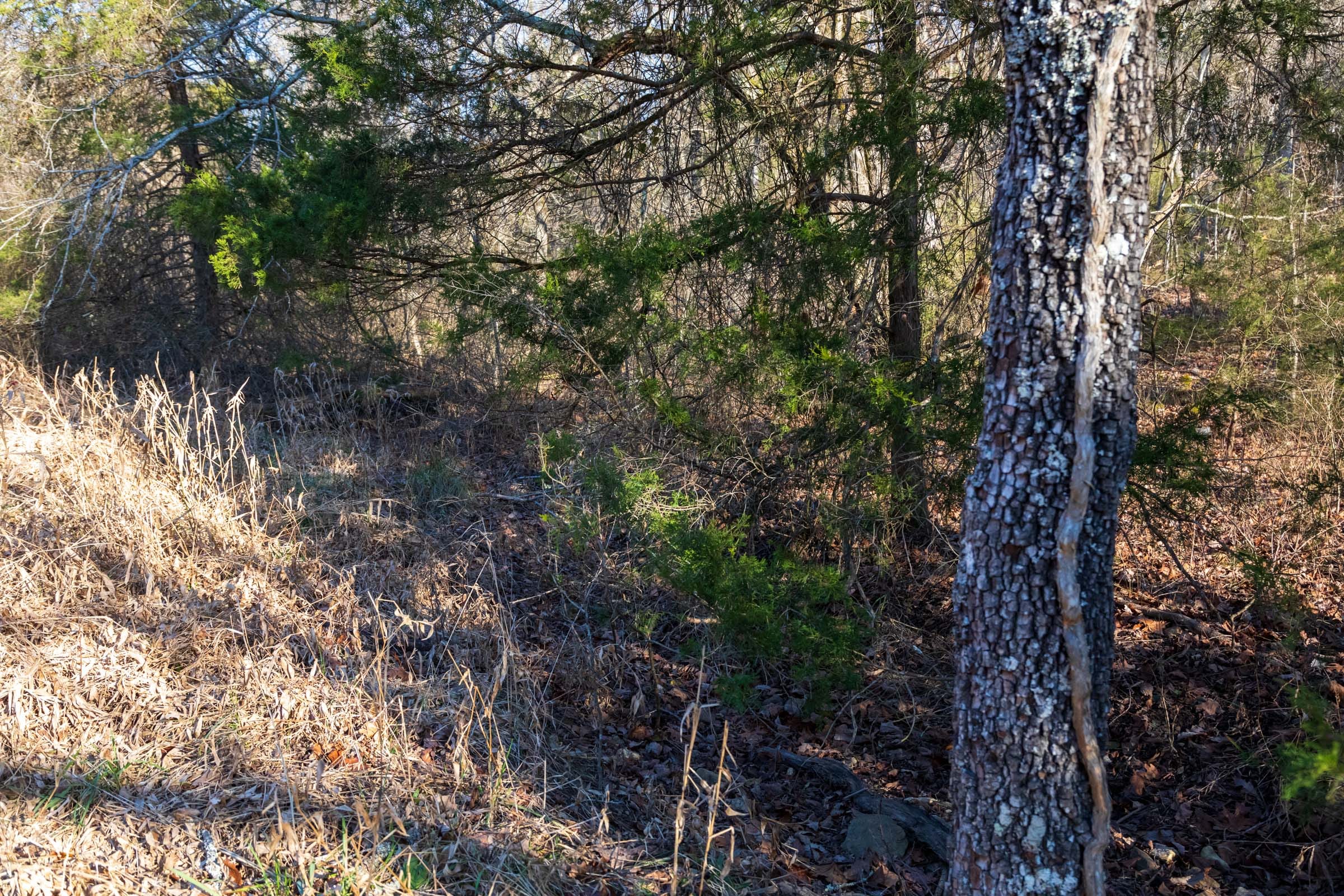 Crossroads Tract 16 photo 4