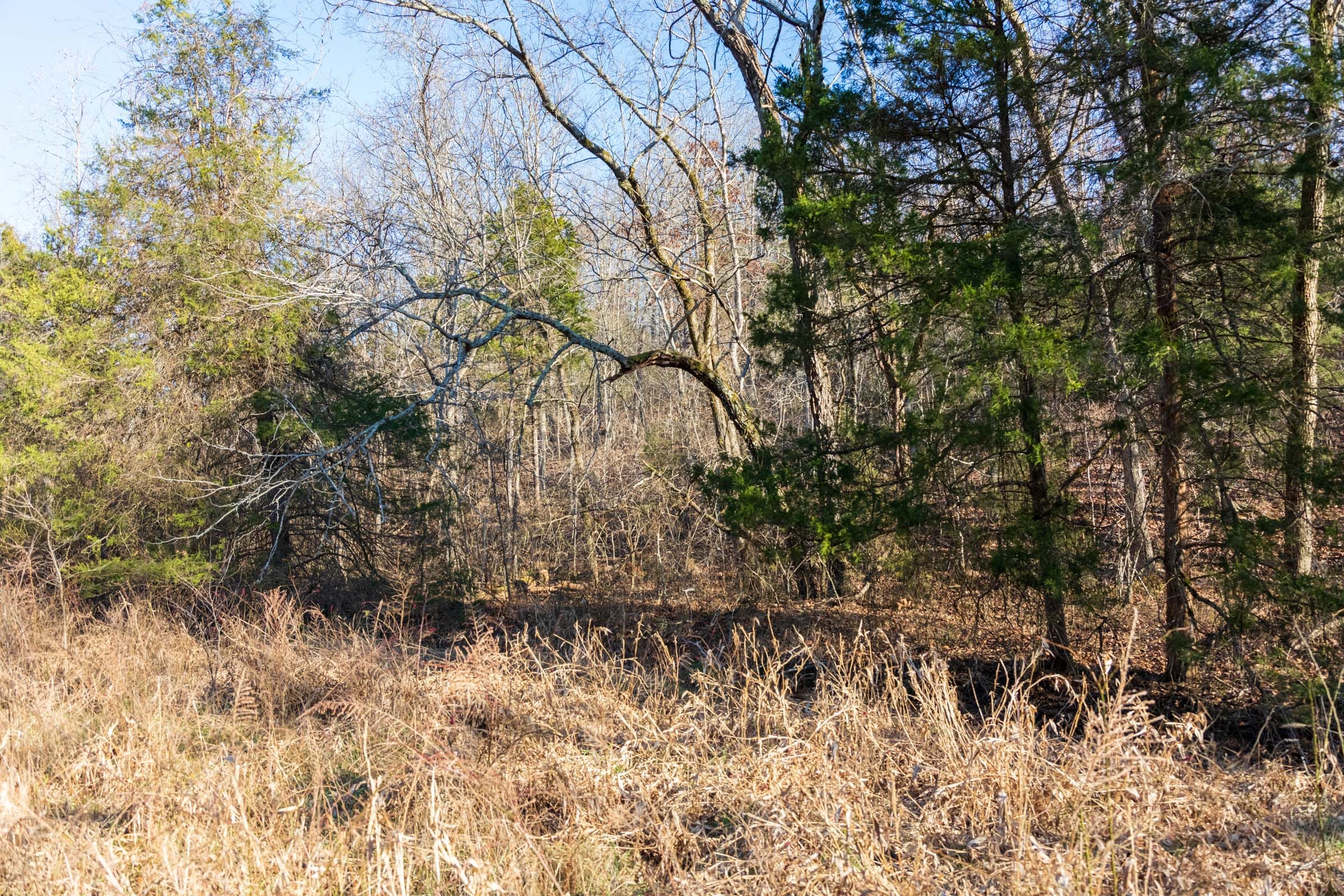 Crossroads Tract 16 photo 5