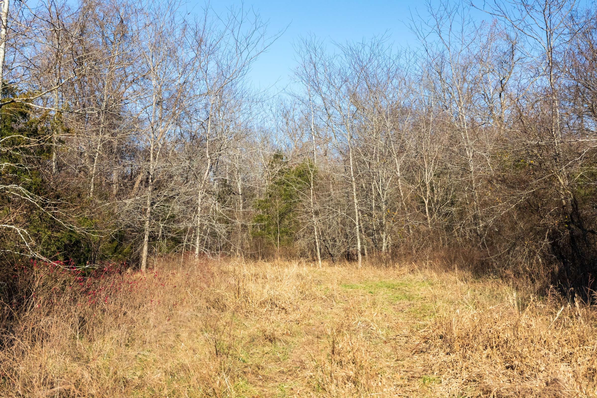 Crossroads Tract 16 photo 7