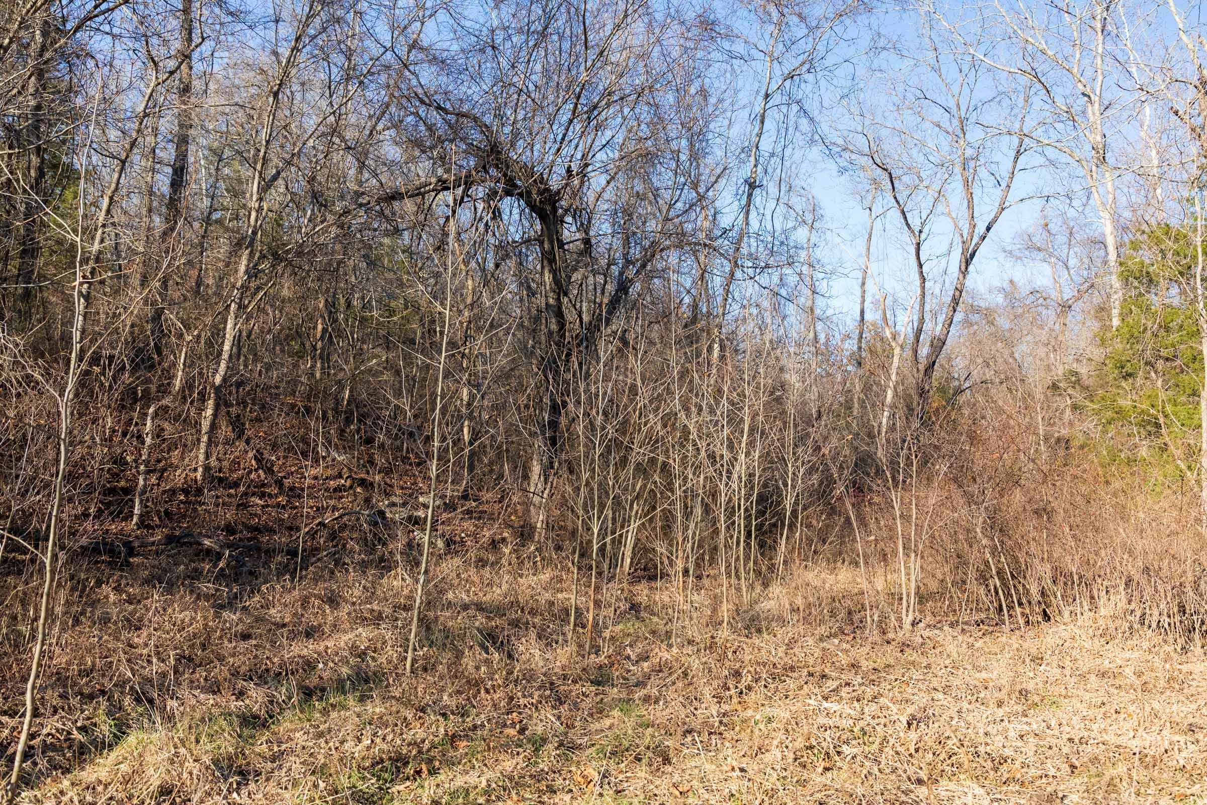Crossroads Tract 16 photo 8