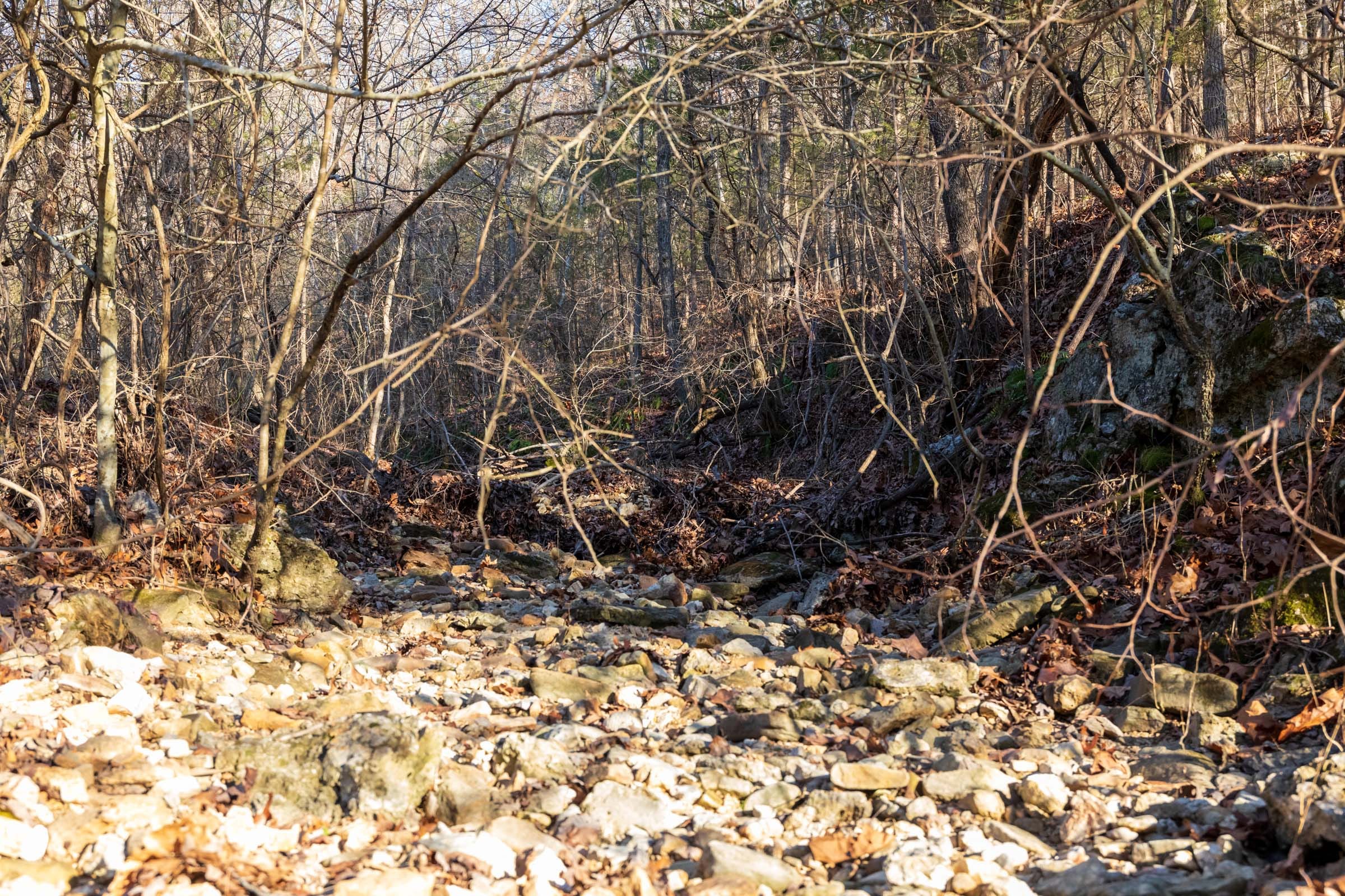 Crossroads Tract 16 photo 9