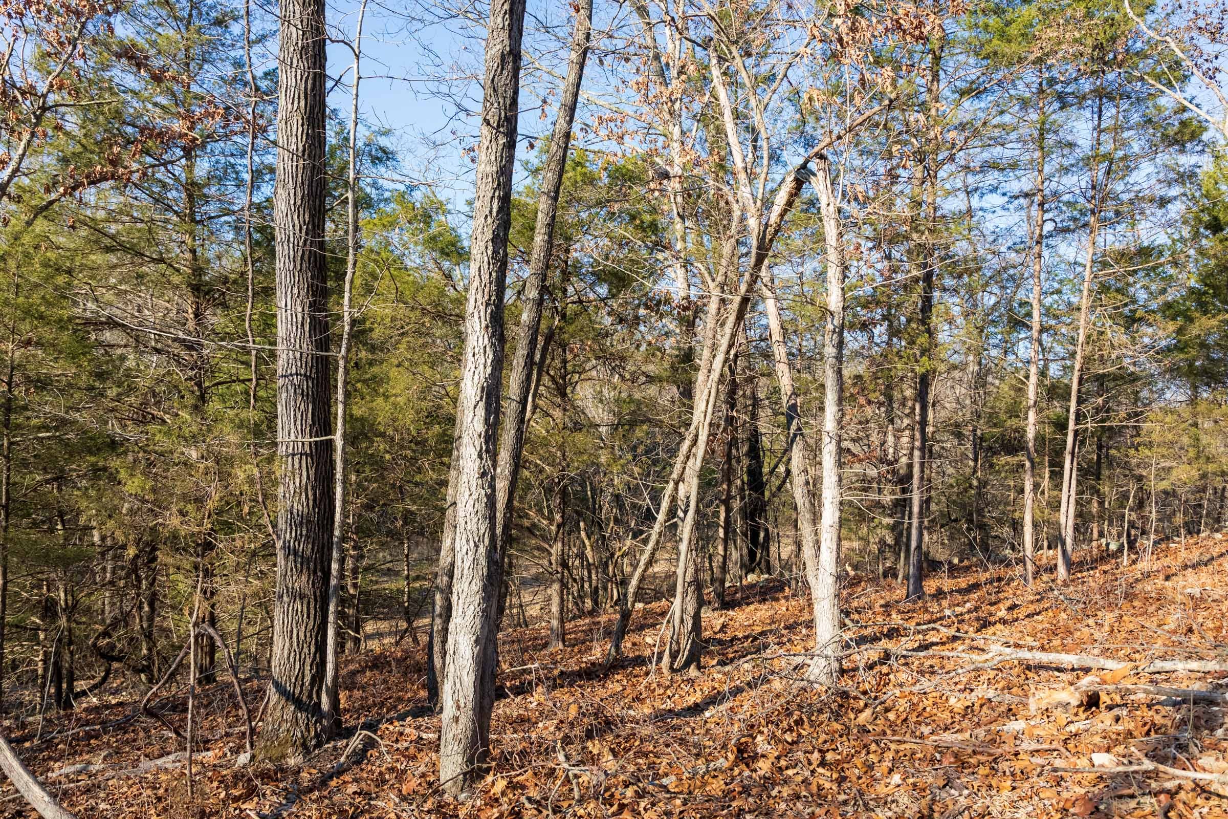 Crossroads Tract 16 photo 10