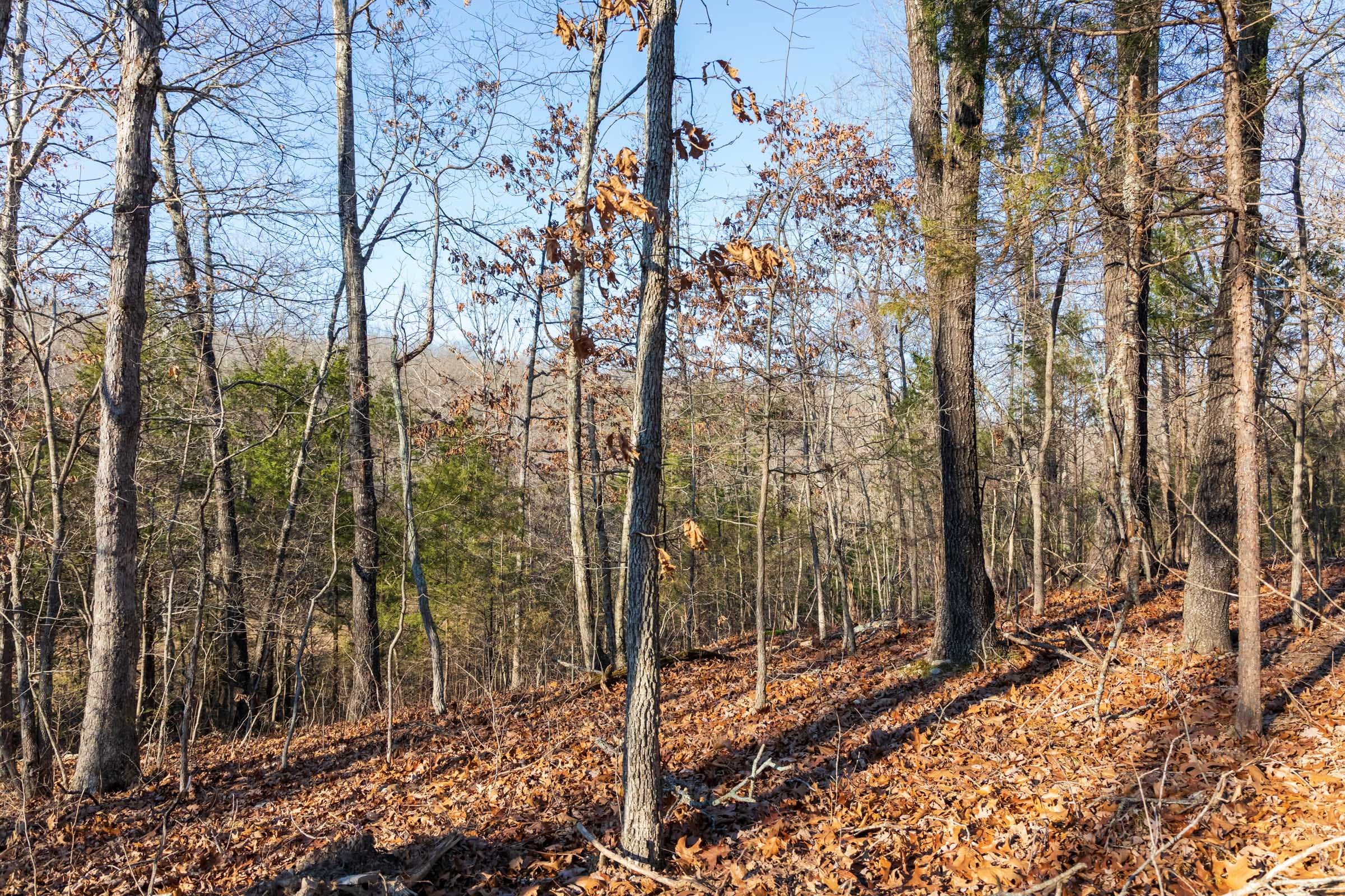 Crossroads Tract 16 photo 12