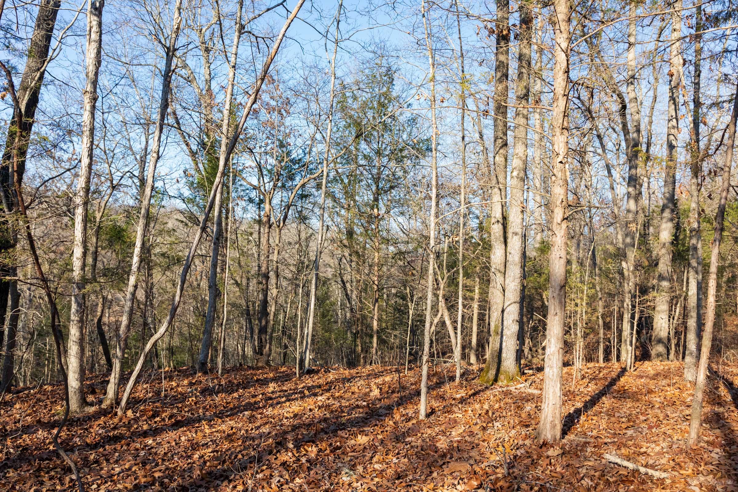 Crossroads Tract 16 photo 13