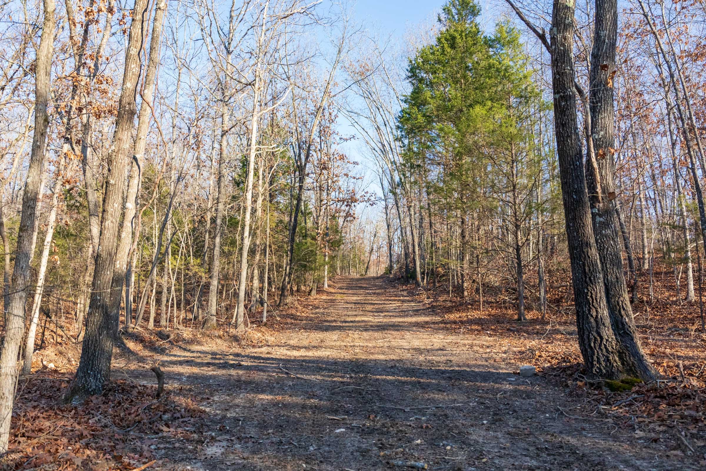 Crossroads Tract 16 photo 14