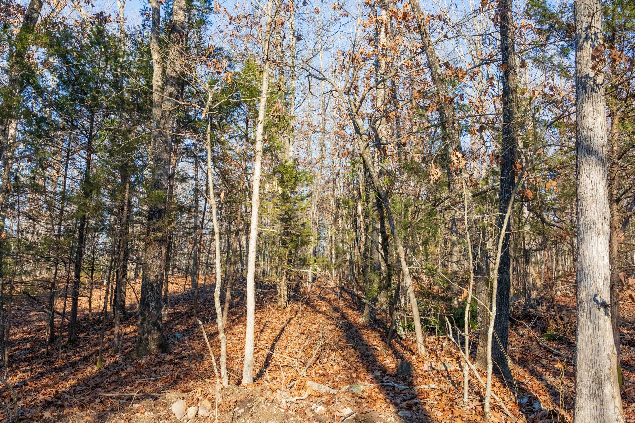 Crossroads Tract 16 photo 15