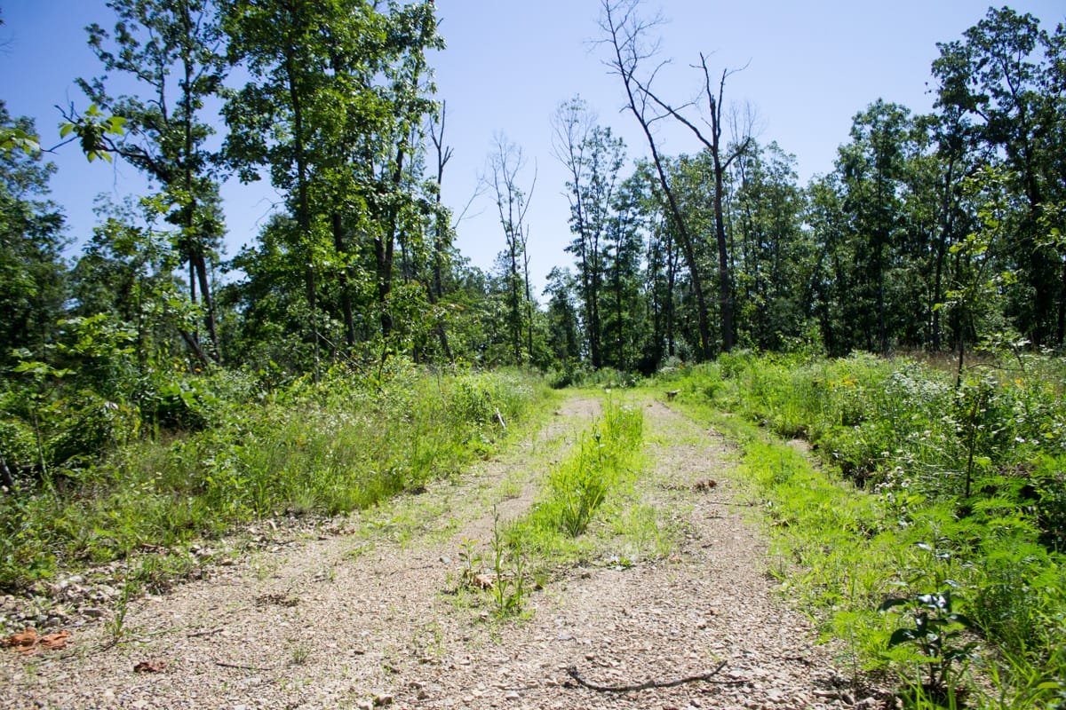 Timber Crossing Tract 32 photo 2