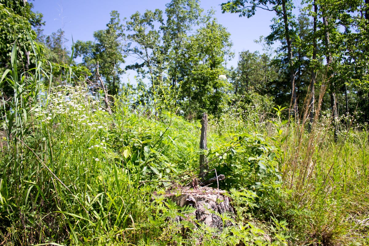 Timber Crossing Tract 32 photo 12