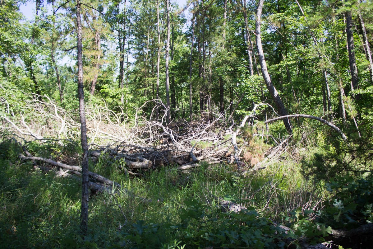 Timber Crossing Tract 32 photo 18