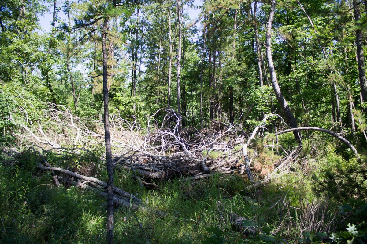 Timber Crossing Tract 32 photo 19