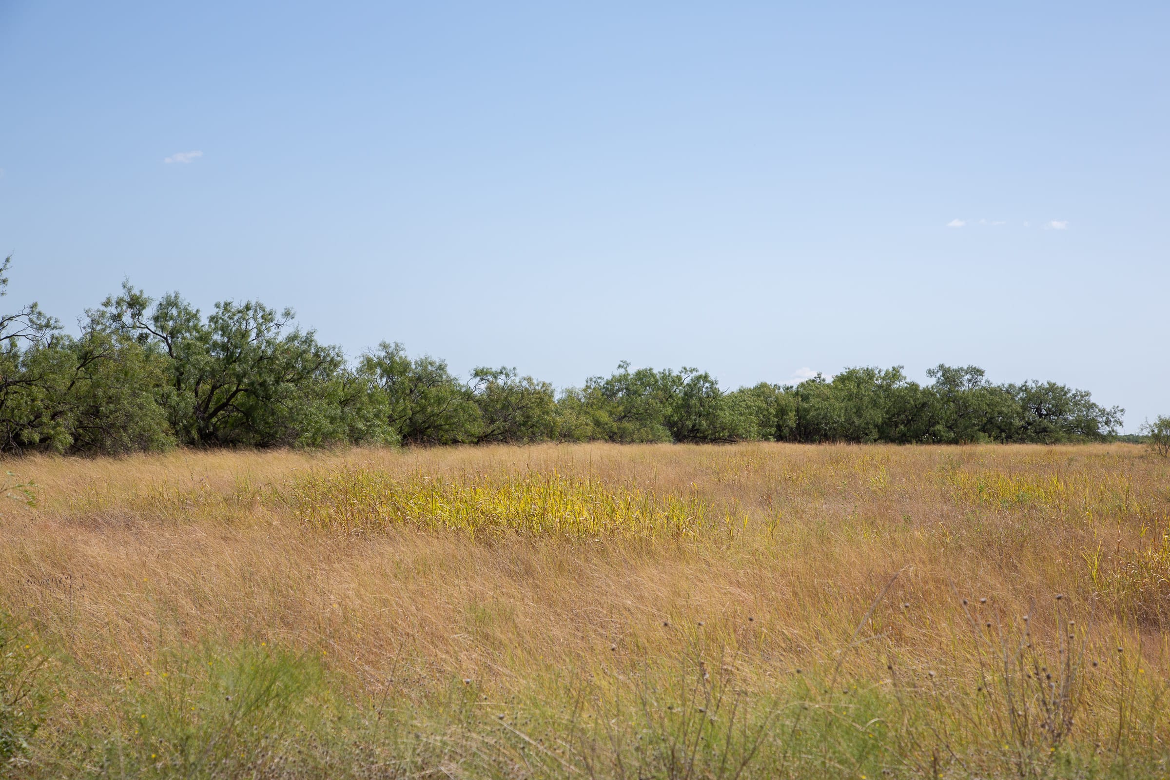 Hunter’s Ranch Tract 24 photo 4