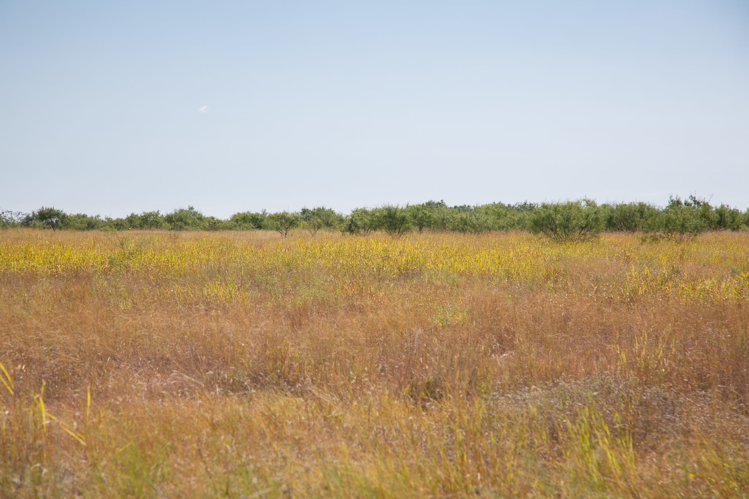 Hunter’s Ranch Tract 24 photo 5