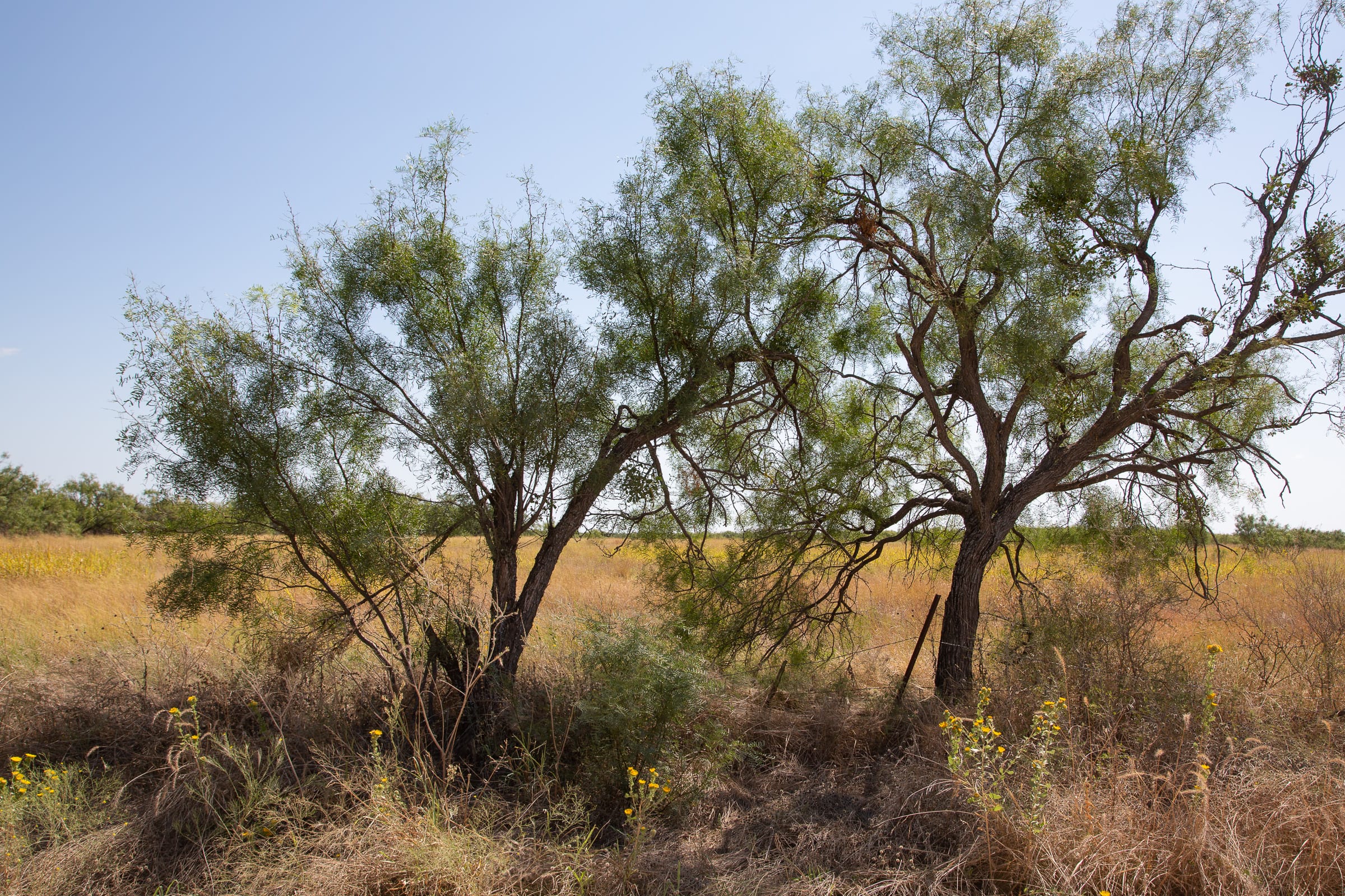 Hunter’s Ranch Tract 24 photo 6