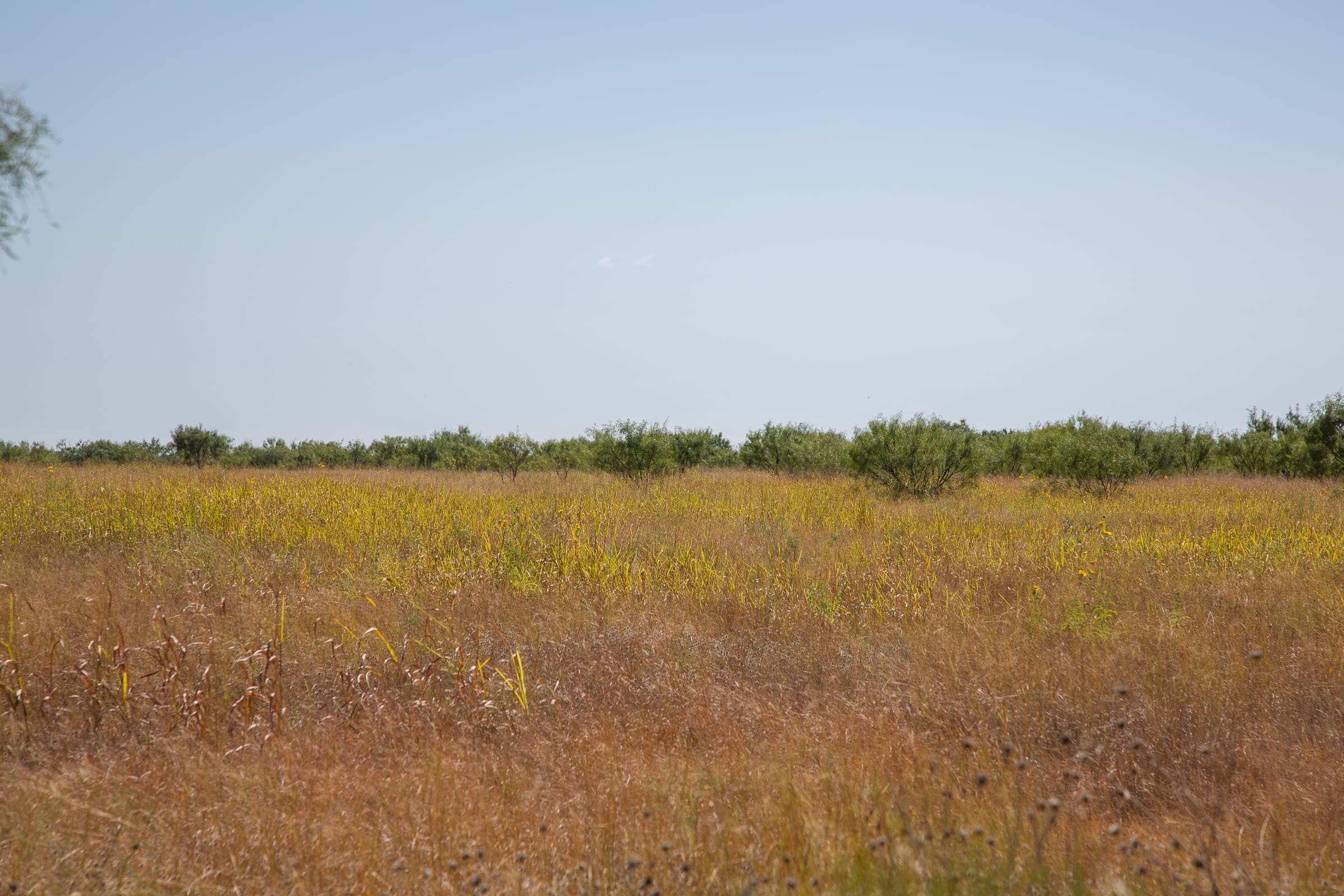 Hunter’s Ranch Tract 24 photo 7