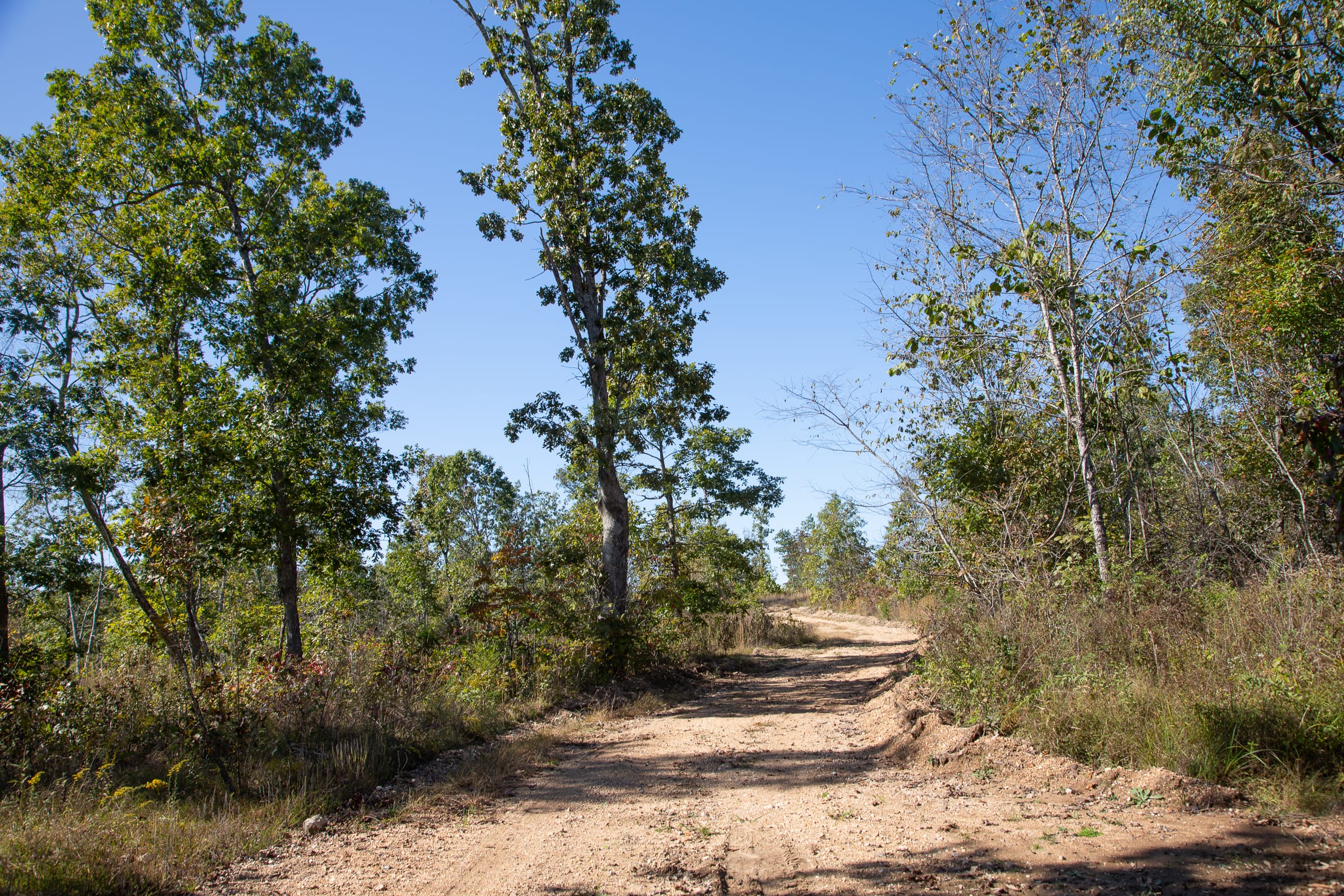 Borgmann’s Hollow Phase IV Tract 104 photo 2