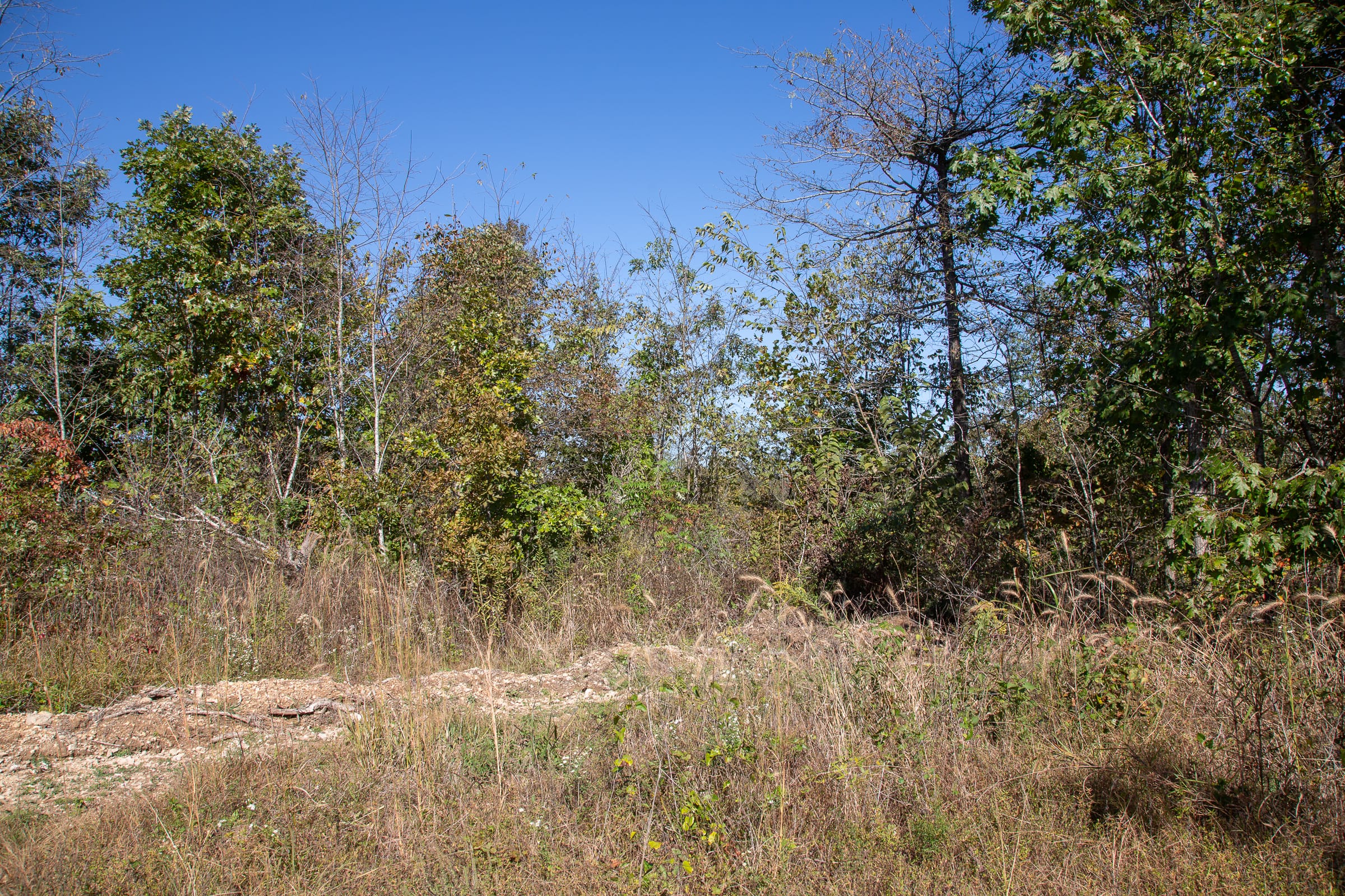 Borgmann’s Hollow Phase IV Tract 104 photo 4
