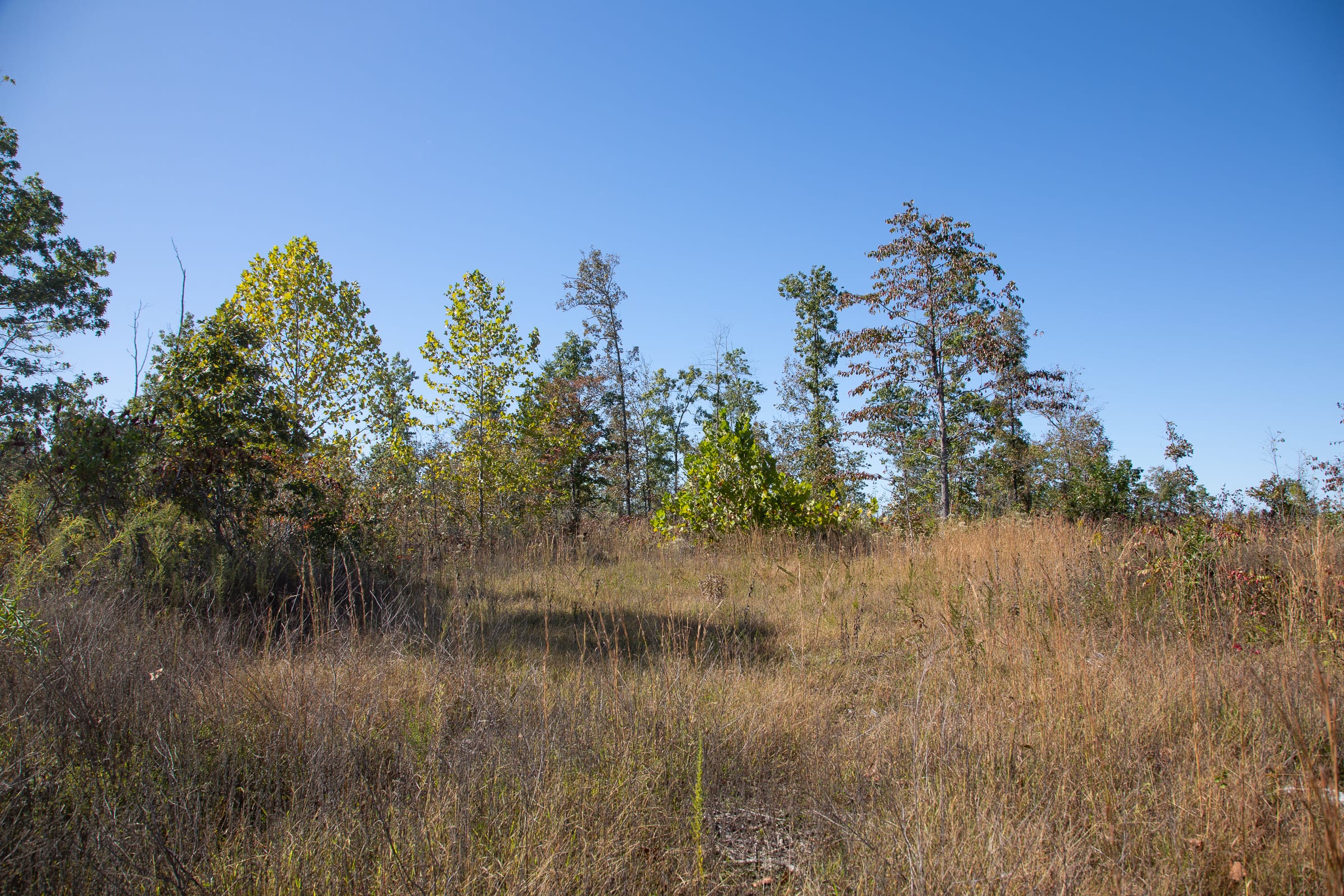 Borgmann’s Hollow Phase IV Tract 104 photo 6