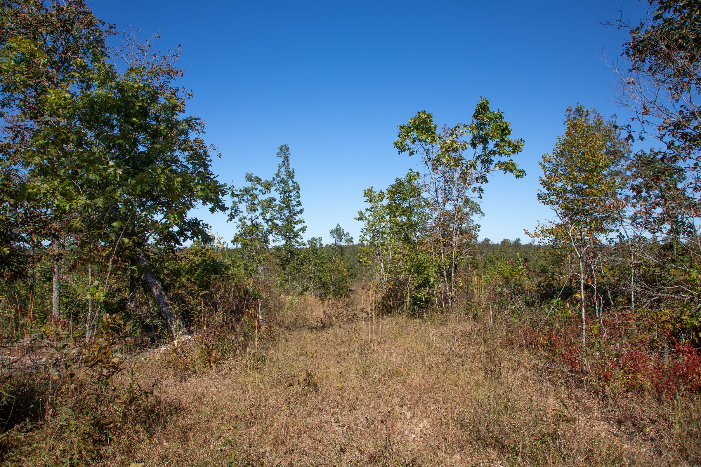 Borgmann’s Hollow Phase IV Tract 104 photo 13