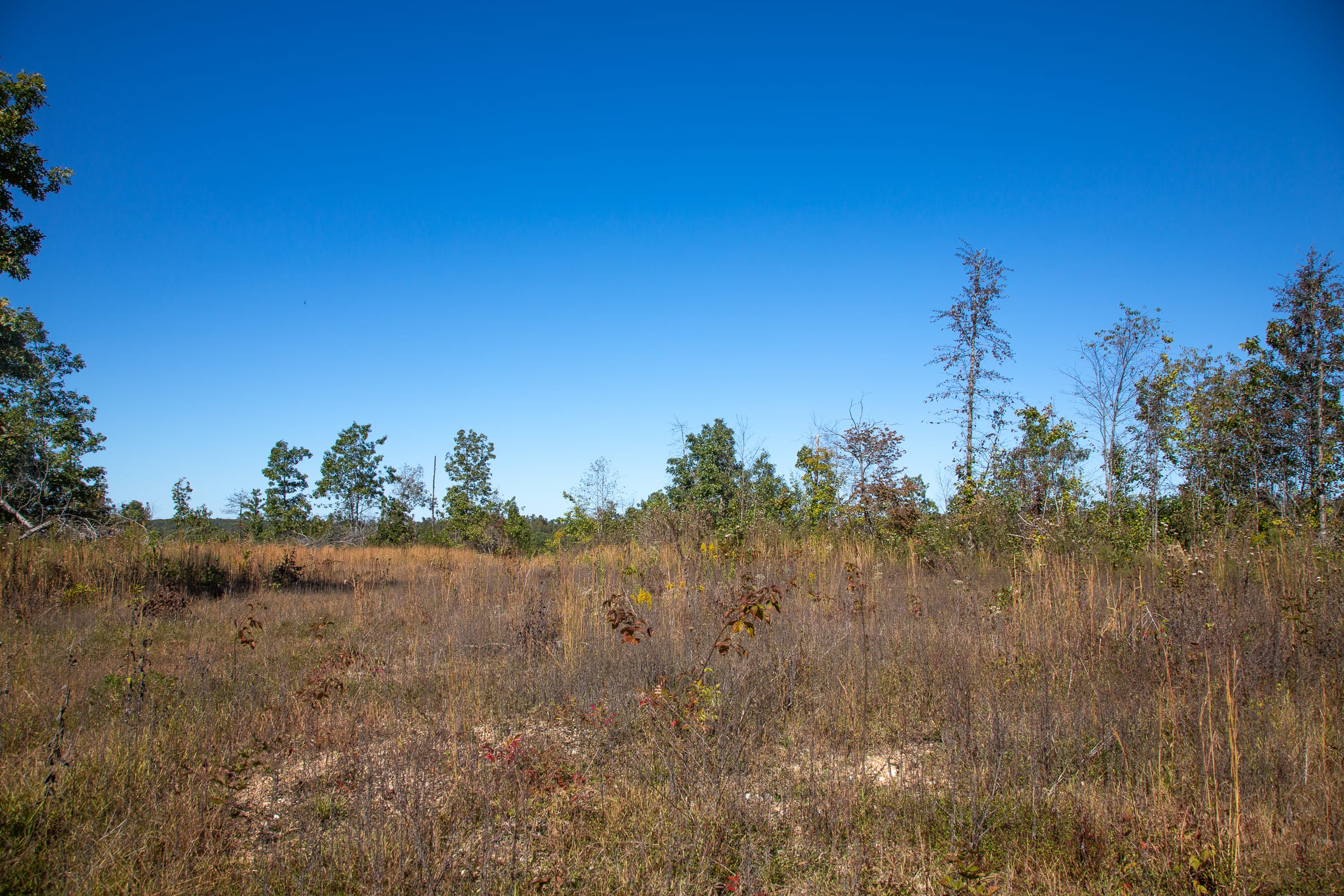 Borgmann’s Hollow Phase IV Tract 104 photo 15
