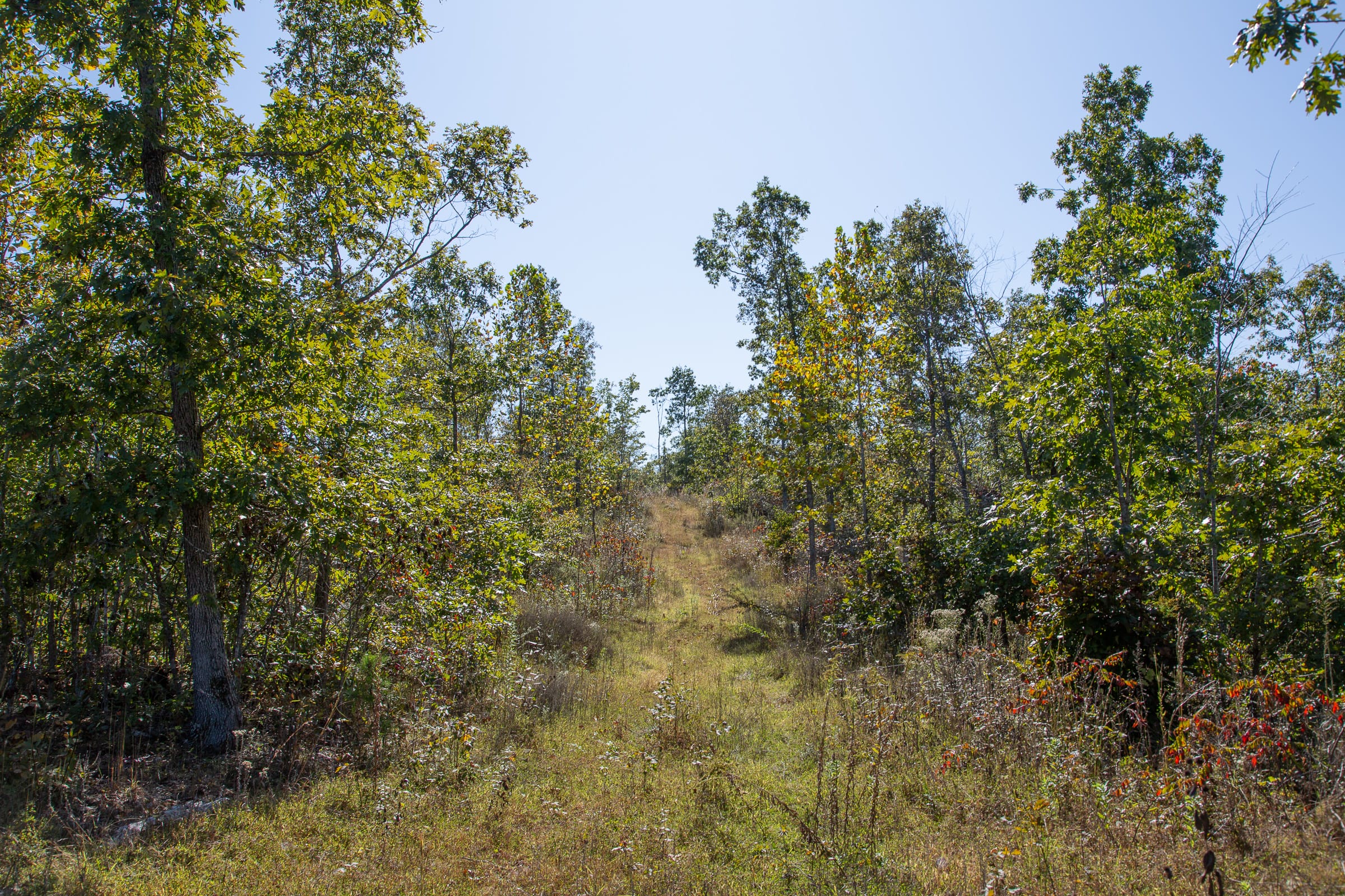 Borgmann’s Hollow Phase IV Tract 104 photo 17