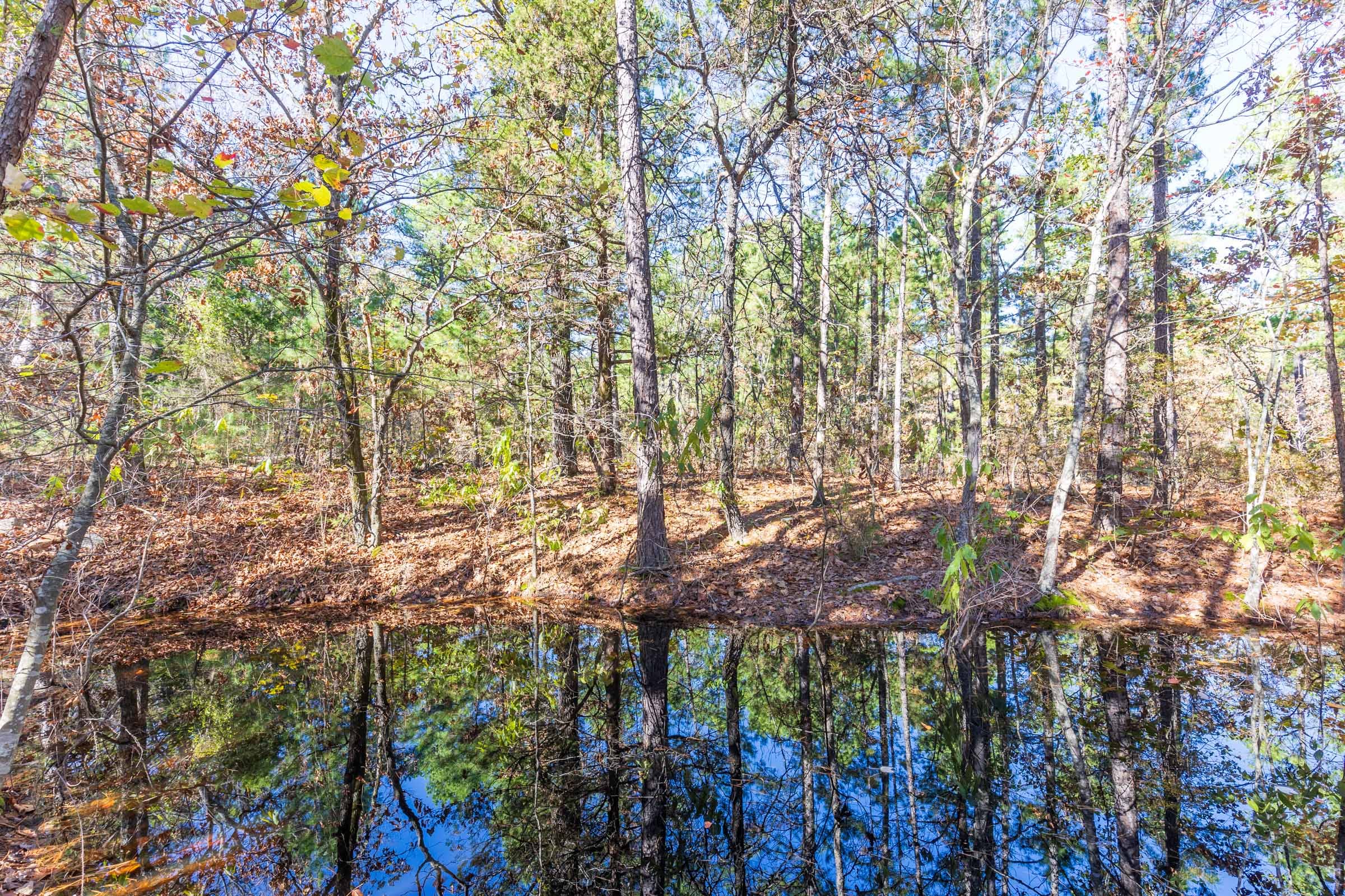 Stone Bridge Reserve Tract 19 photo 25