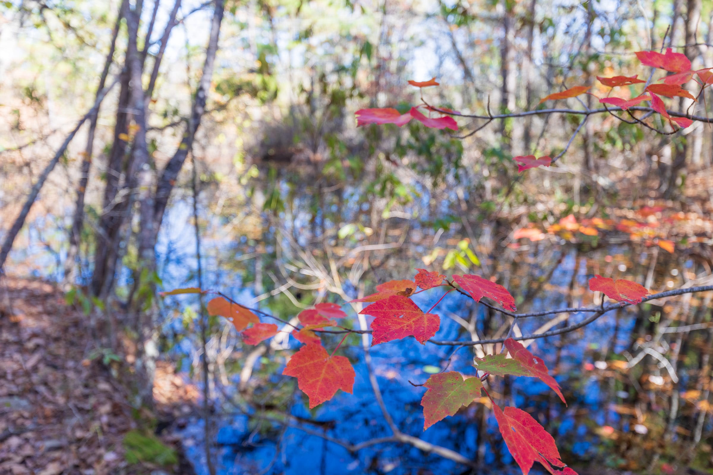 Stone Bridge Reserve Tract 19 photo 24