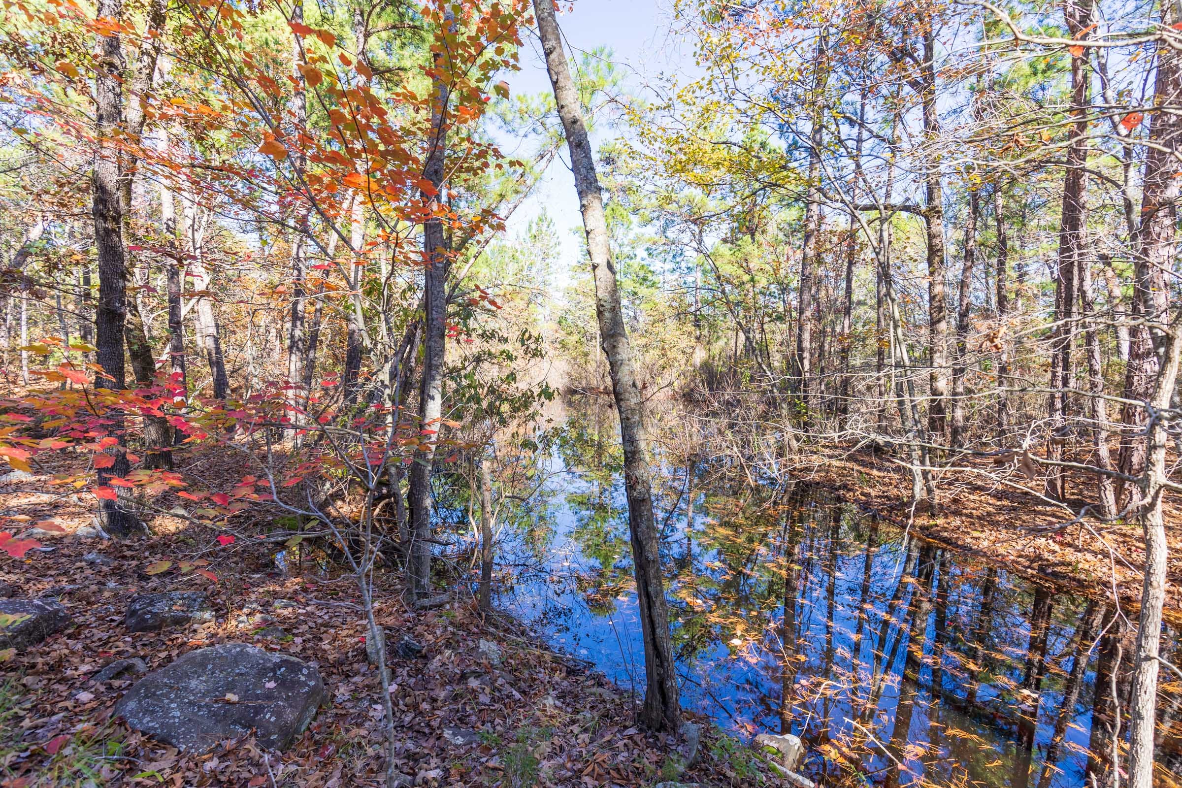 Stone Bridge Reserve Tract 19 photo 23