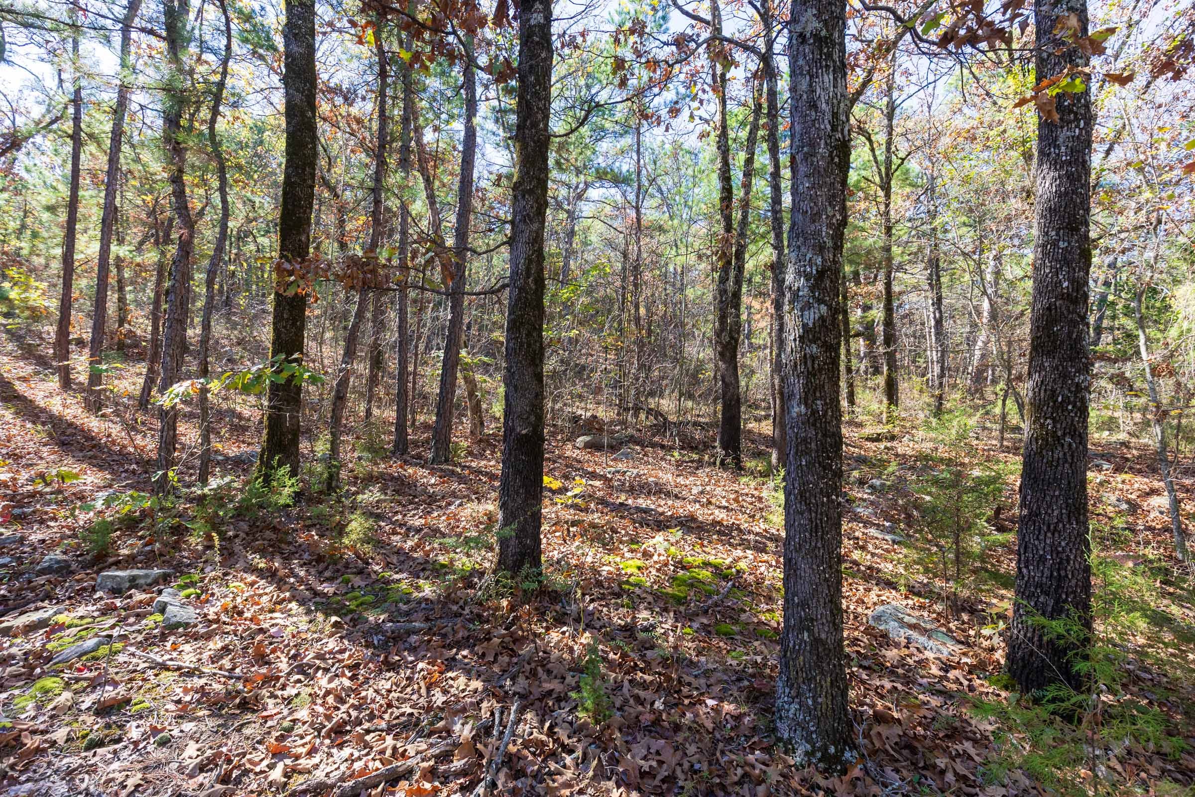 Stone Bridge Reserve Tract 19 photo 17