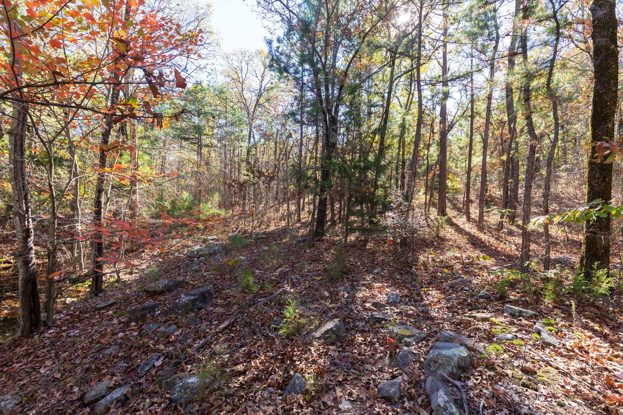 Stone Bridge Reserve Tract 19 photo 22