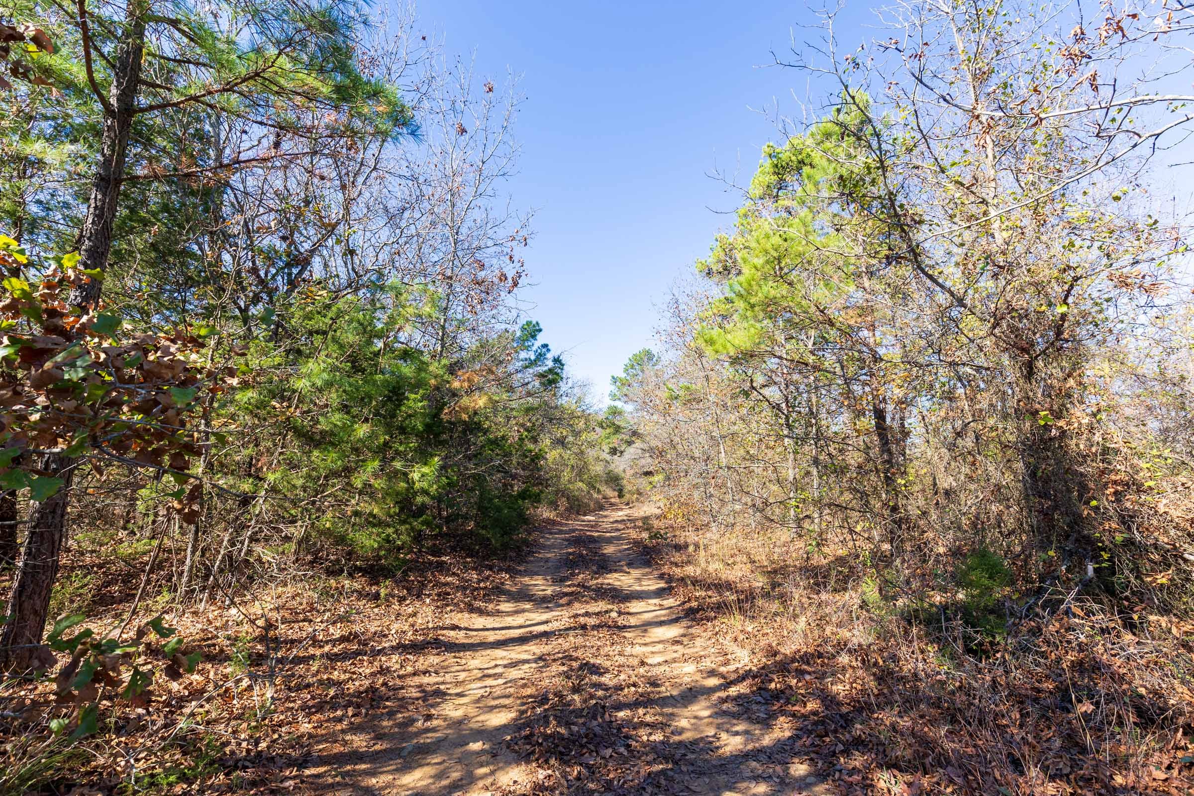 Stone Bridge Reserve Tract 19 photo 18