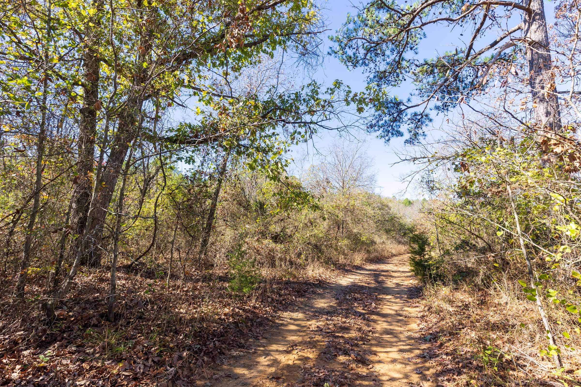Stone Bridge Reserve Tract 19 photo 26