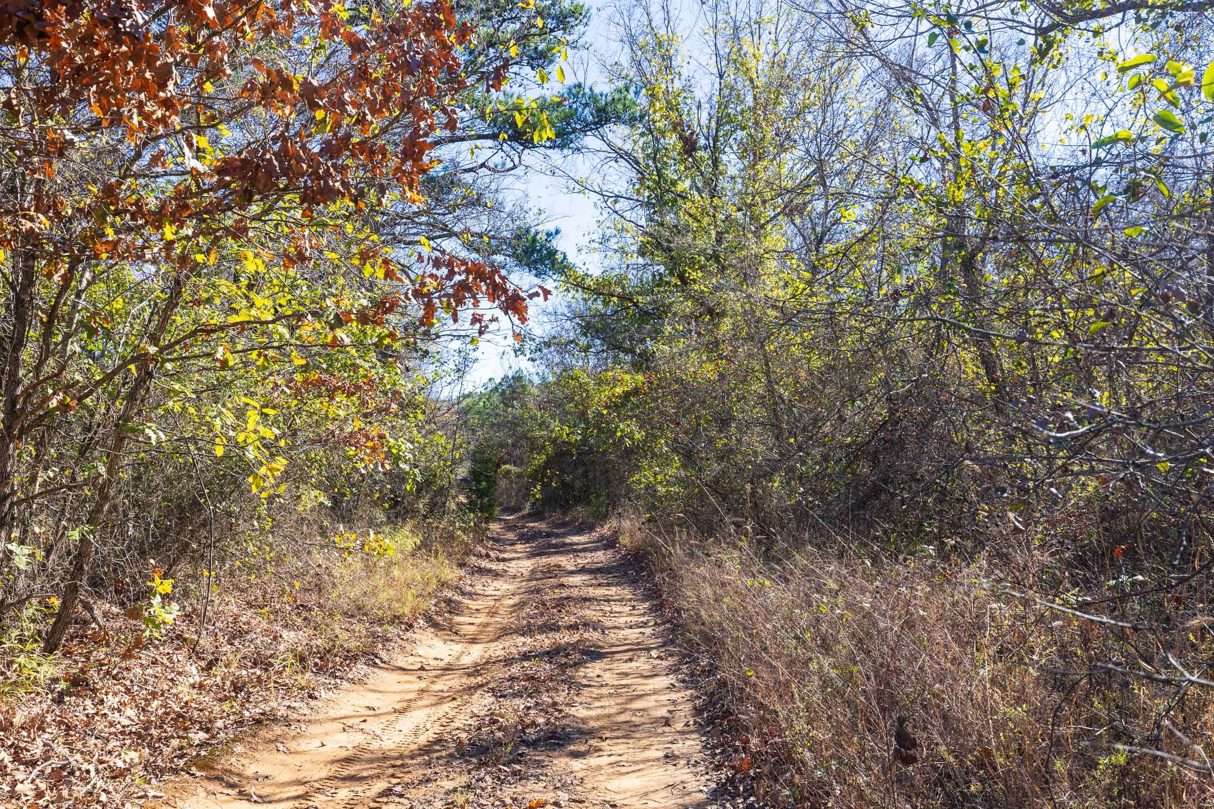 Stone Bridge Reserve Tract 19 photo 21