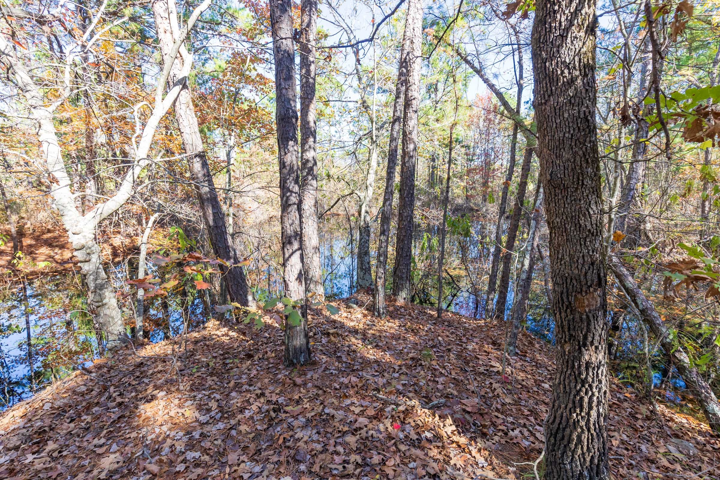 Stone Bridge Reserve Tract 19 photo 20
