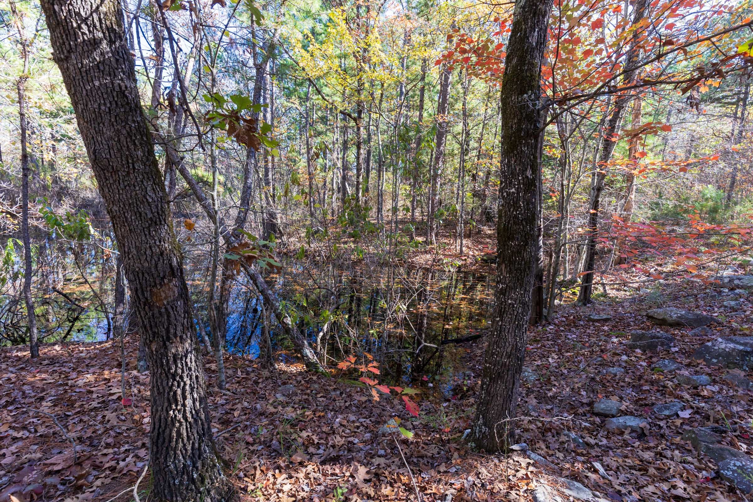 Stone Bridge Reserve Tract 19 photo 19