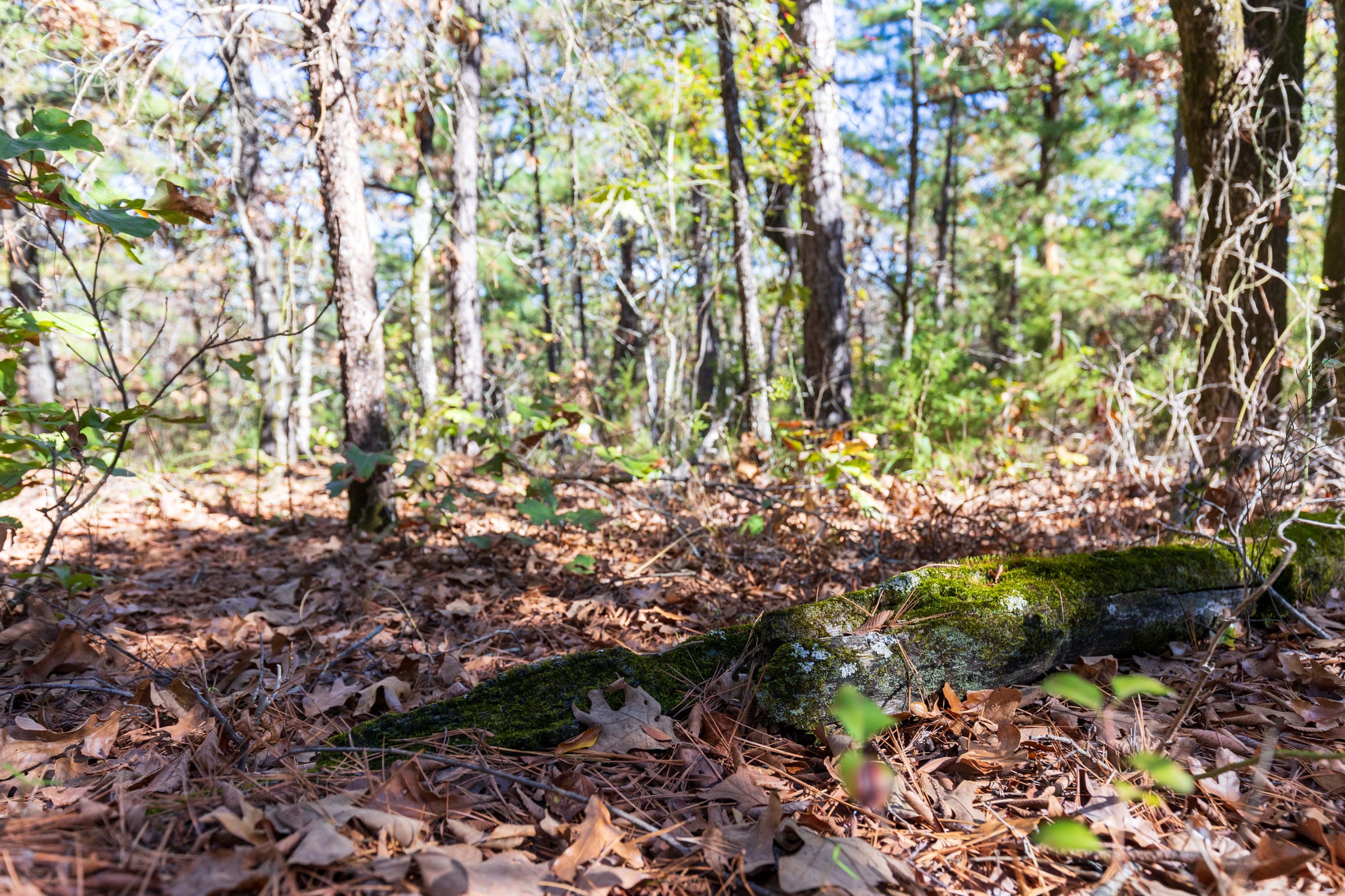 Stone Bridge Reserve Tract 19 photo 15