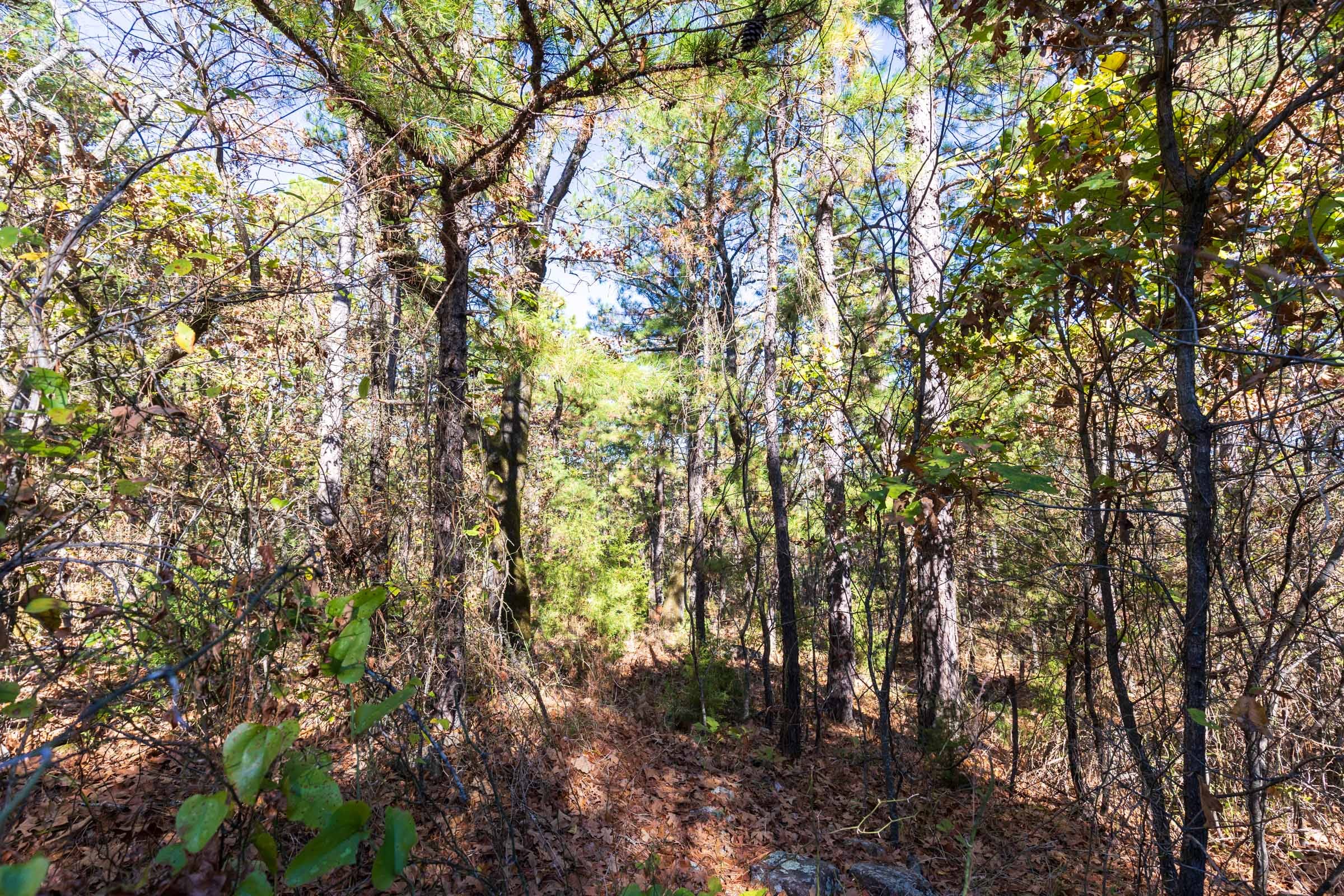 Stone Bridge Reserve Tract 19 photo 13