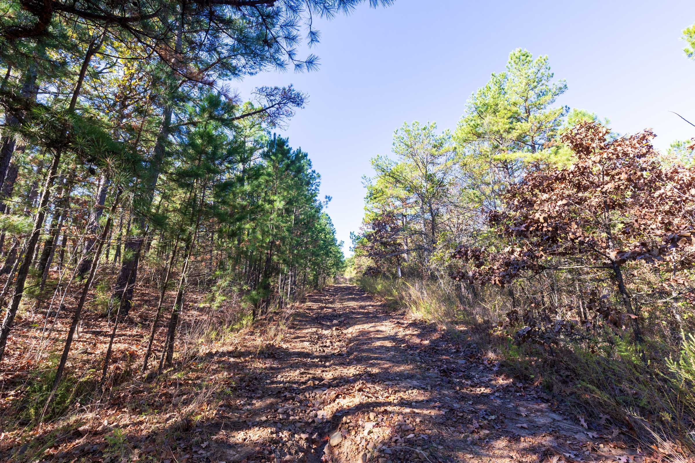 Stone Bridge Reserve Tract 19 photo 16