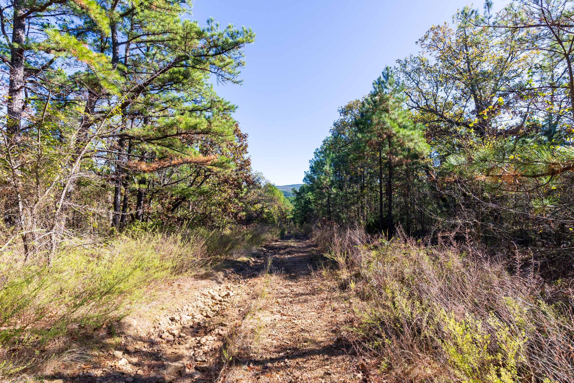 Stone Bridge Reserve Tract 19 photo 14